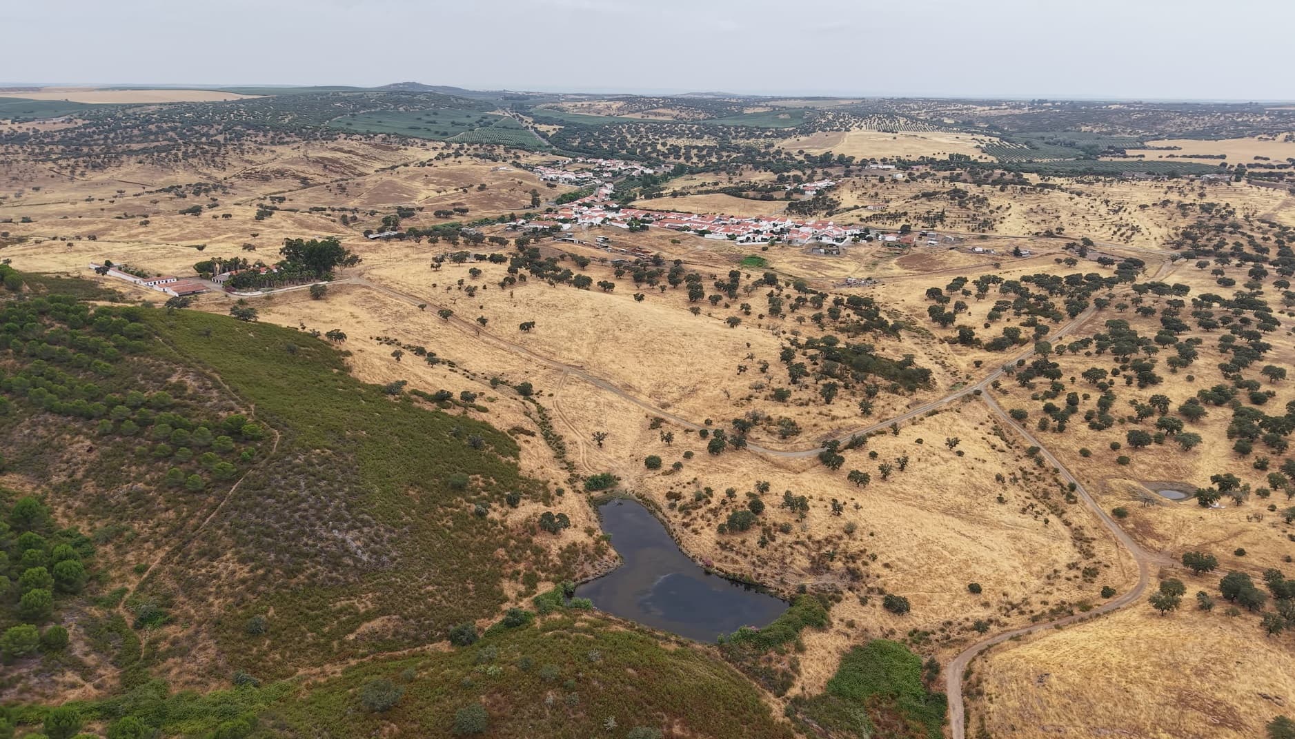Herdade do Topo · "Monte da Janeila" · 210 hectares · Serpa — imagem 3