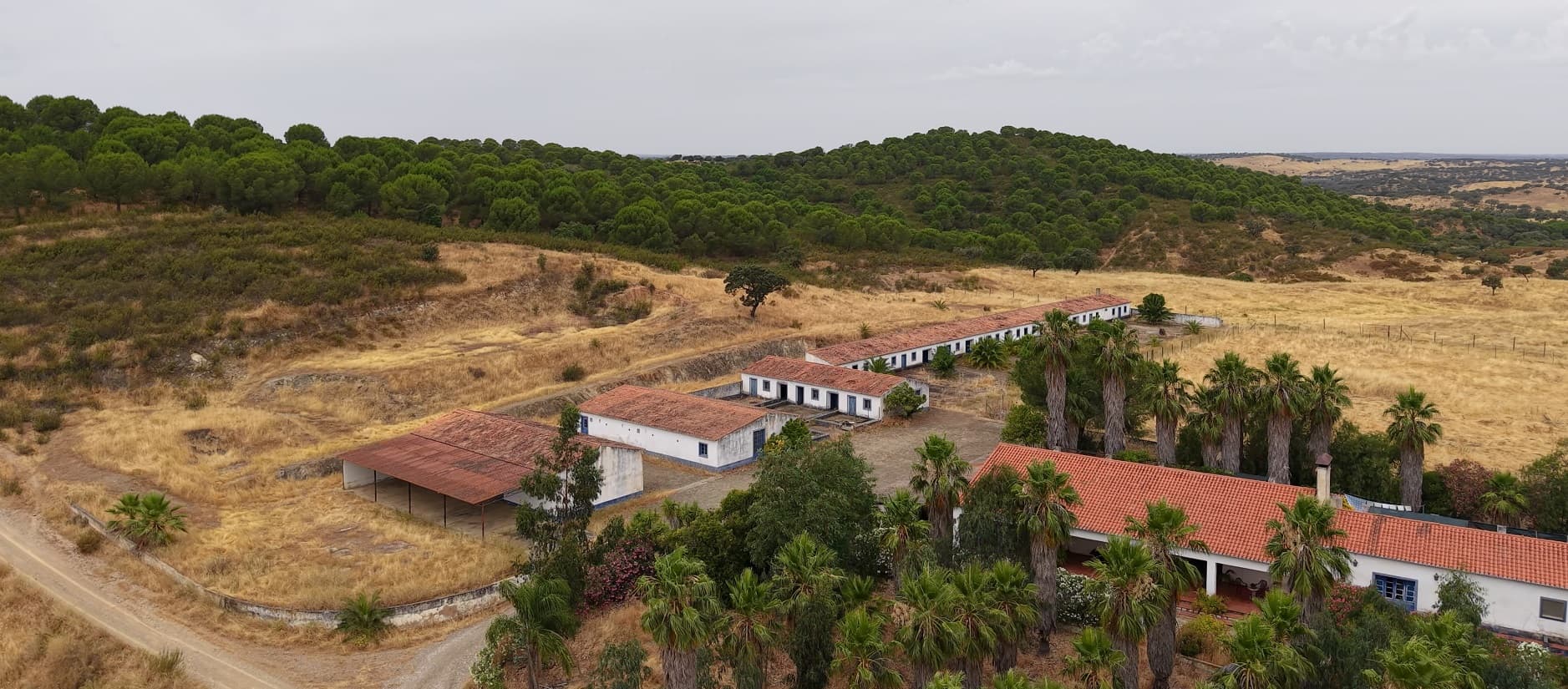 Herdade do Topo · "Monte da Janeila" · 210 hectares · Serpa — imagem 12