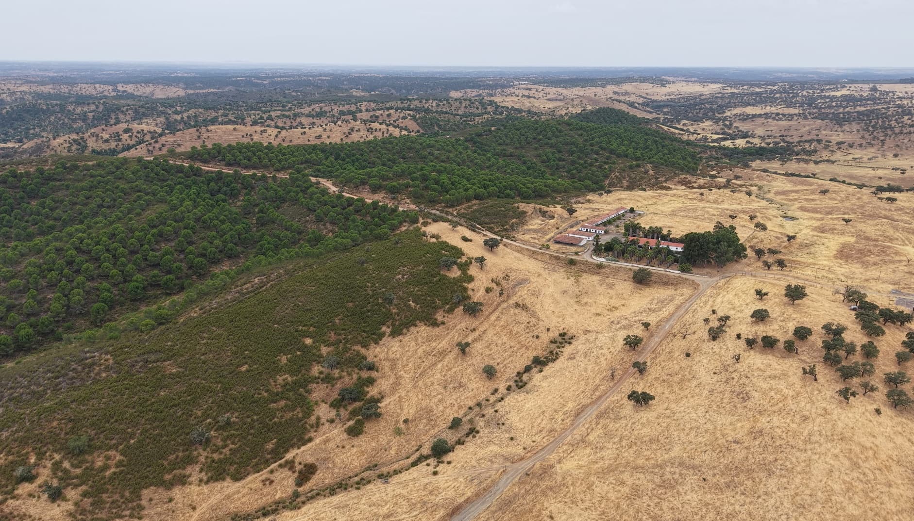 Herdade do Topo · "Monte da Janeila" · 210 hectares · Serpa — imagem 17