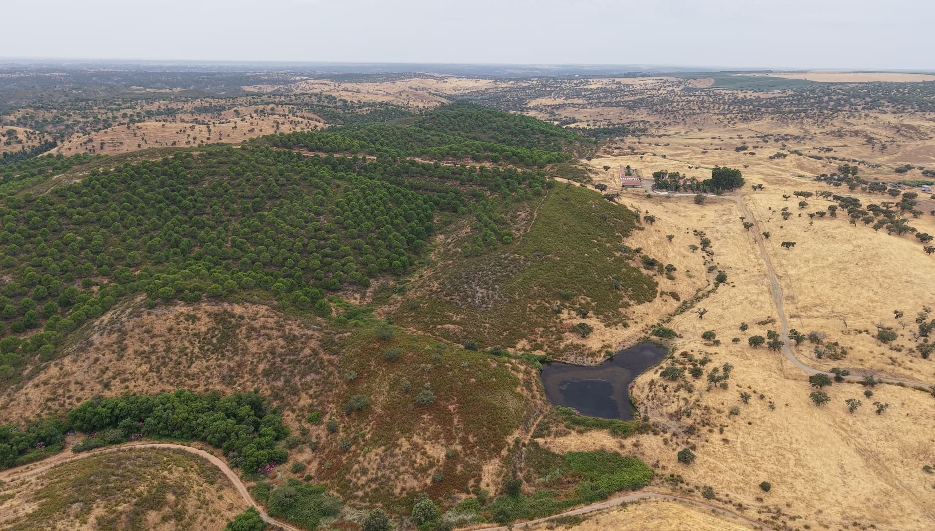 Herdade do Topo · "Monte da Janeila" · 210 hectares · Serpa — imagem 2