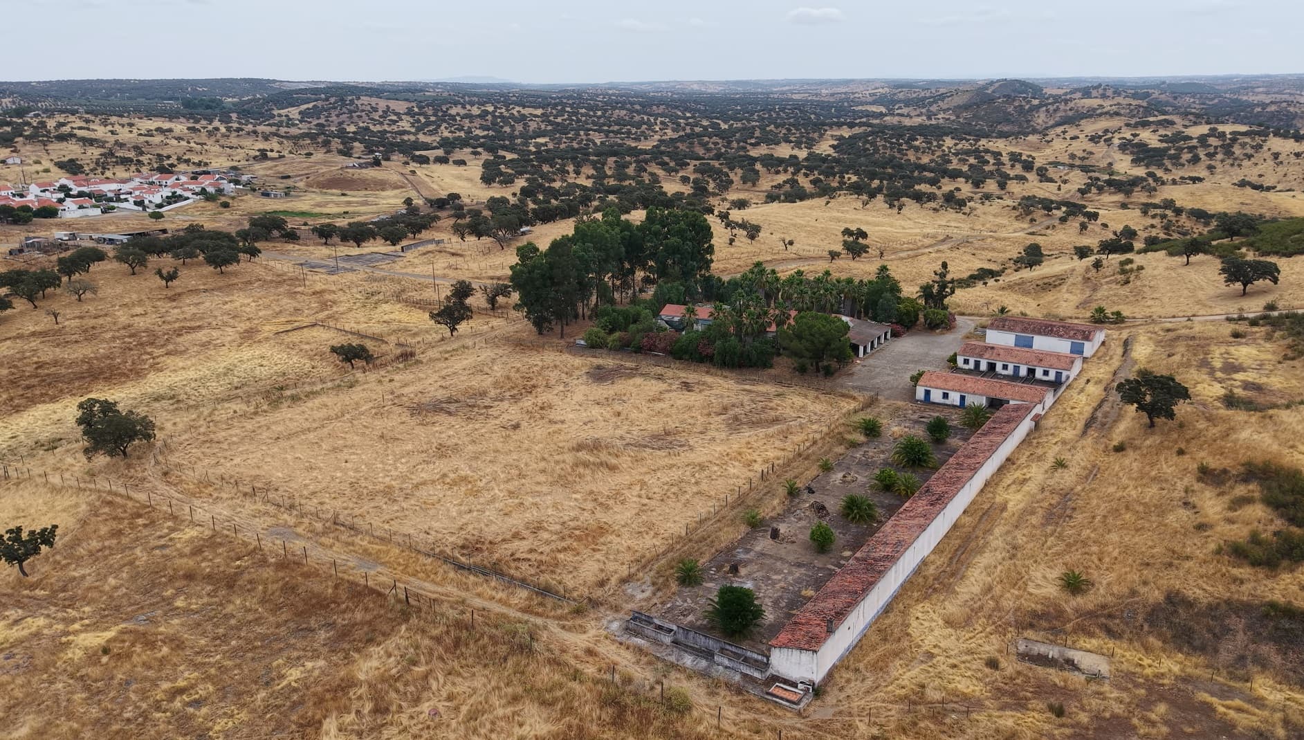 Herdade do Topo · "Monte da Janeila" · 210 hectares · Serpa — imagem 6