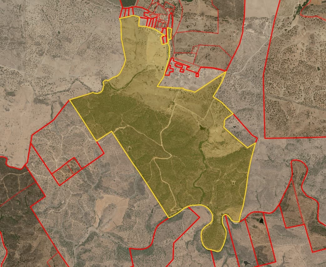 Herdade do Topo · "Monte da Janeila" · 210 hectares · Serpa — imagem 20