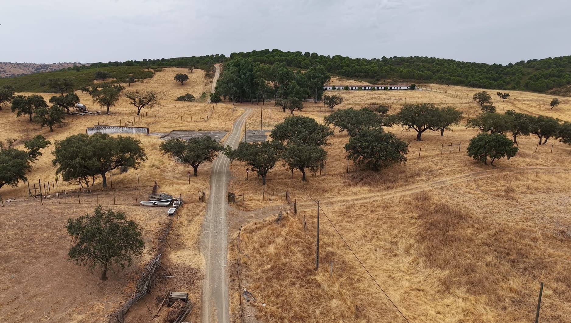 Herdade do Topo · "Monte da Janeila" · 210 hectares · Serpa — imagem 10