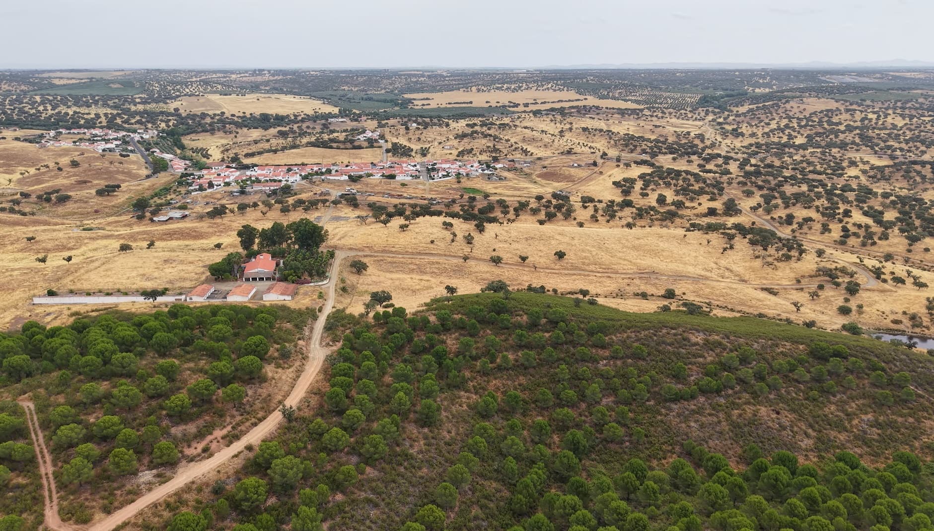 Herdade do Topo · "Monte da Janeila" · 210 hectares · Serpa — imagem 4