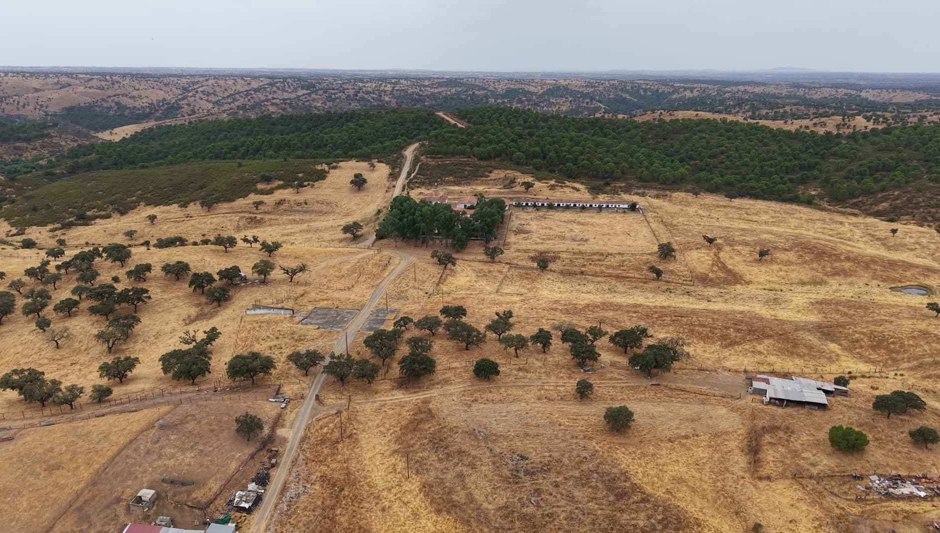 Herdade do Topo · "Monte da Janeila" · 210 hectares · Serpa — imagem 9