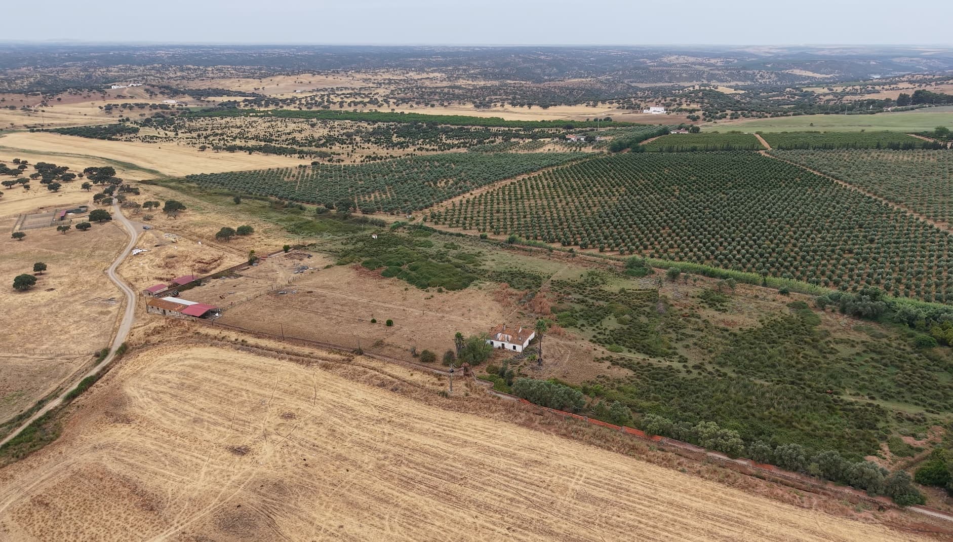 Herdade do Topo · "Monte Junqueira" · 7,4 hectares · Serpa — imagem 5