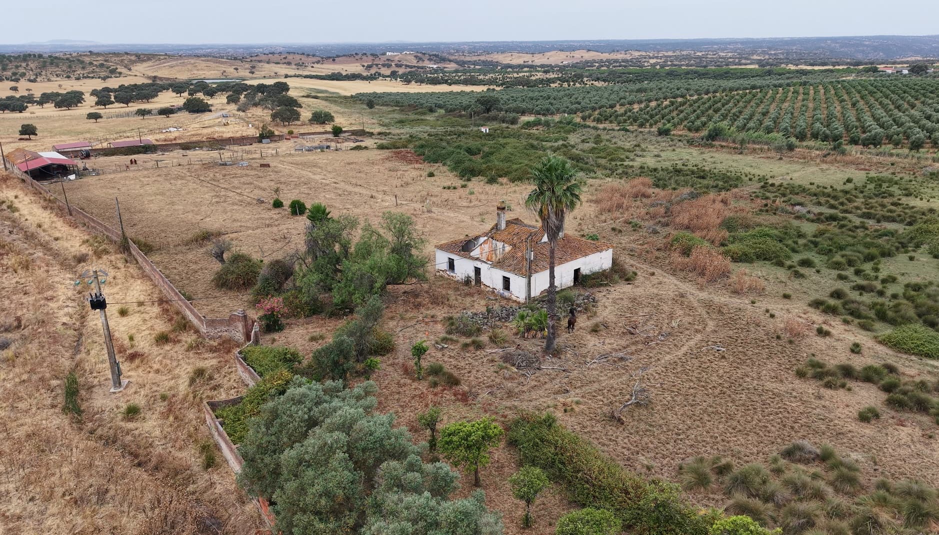 Herdade do Topo · "Monte Junqueira" · 7,4 hectares · Serpa — imagem 7