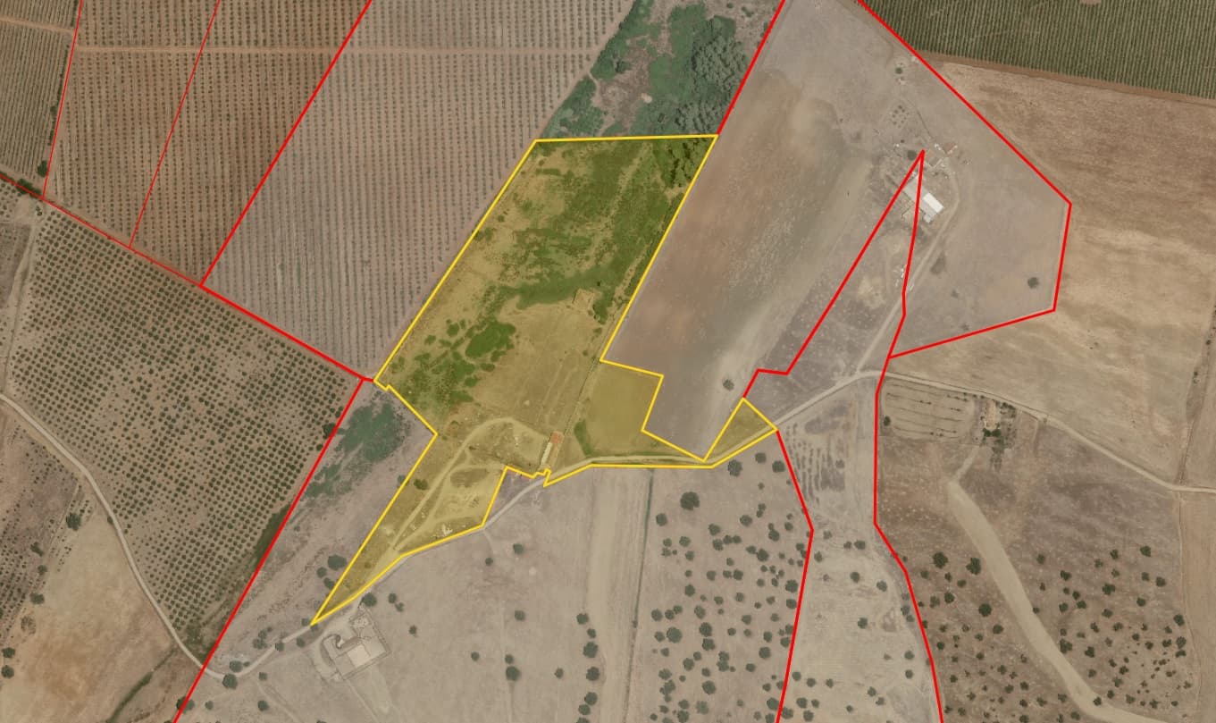 Herdade do Topo · "Monte Junqueira" · 7,4 hectares · Serpa — imagem 8