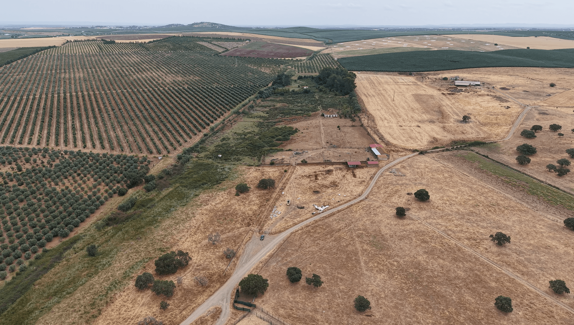 Herdade do Topo · "Monte Junqueira" · 7,4 hectares · Serpa — imagem 4