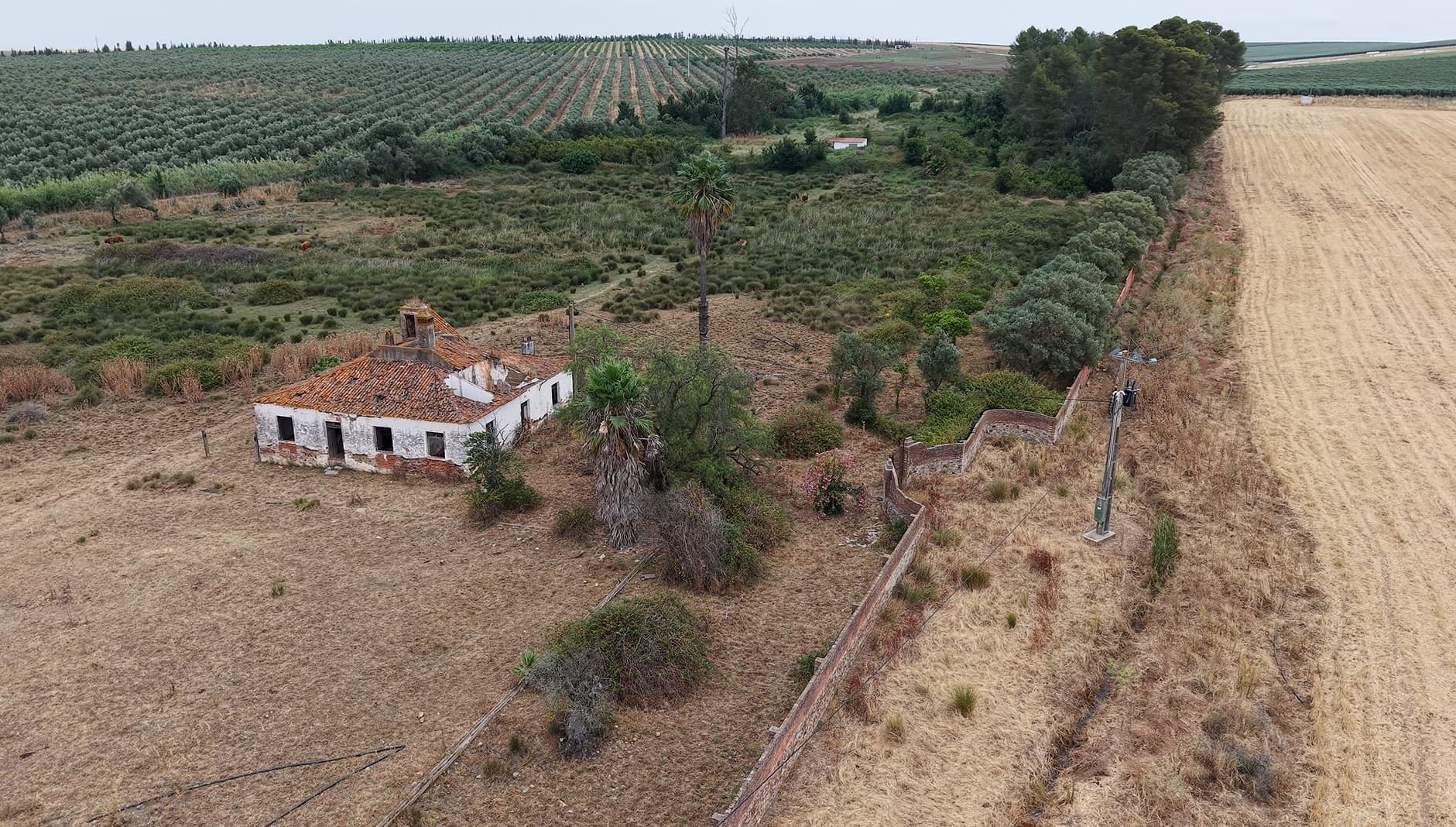 Herdade do Topo · "Monte Junqueira" · 7,4 hectares · Serpa — imagem 2