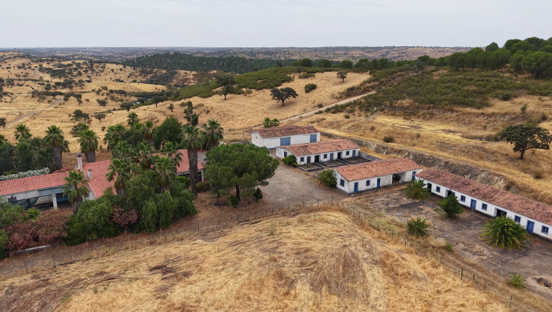 Herdade do Topo · Montes da Janeila e Junqueira · Serpa — imagen 6