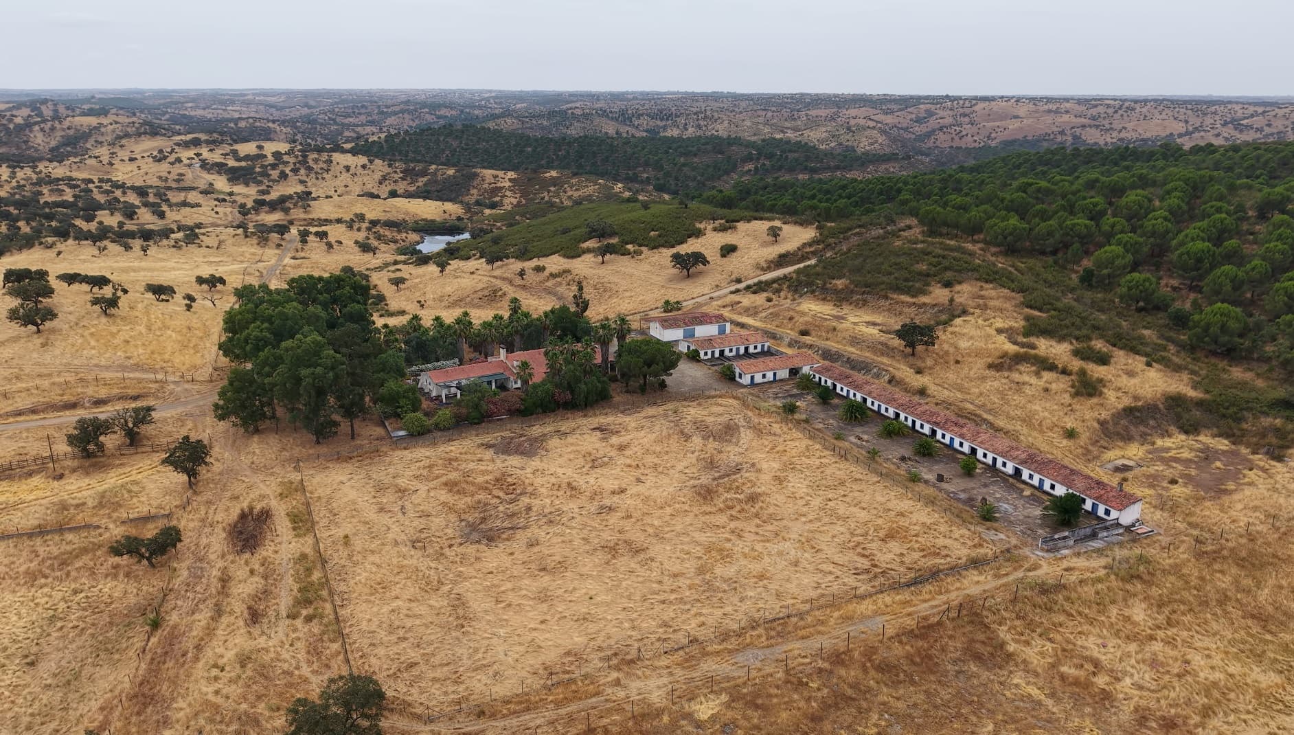 Herdade do Topo · Montes da Janeila e Junqueira · Serpa — imagen 2
