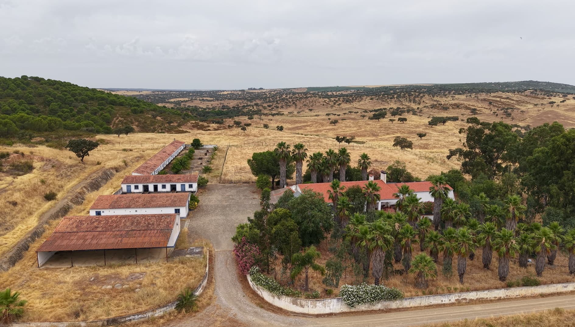 Herdade do Topo · Montes da Janeila e Junqueira · Serpa — imagen 5