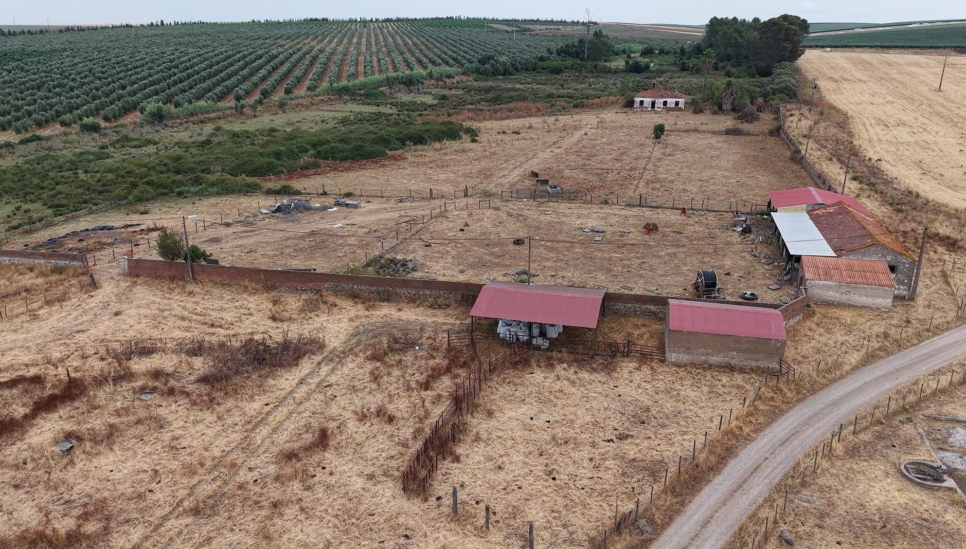 Herdade do Topo · Montes da Janeila e Junqueira · Serpa — imagen 13