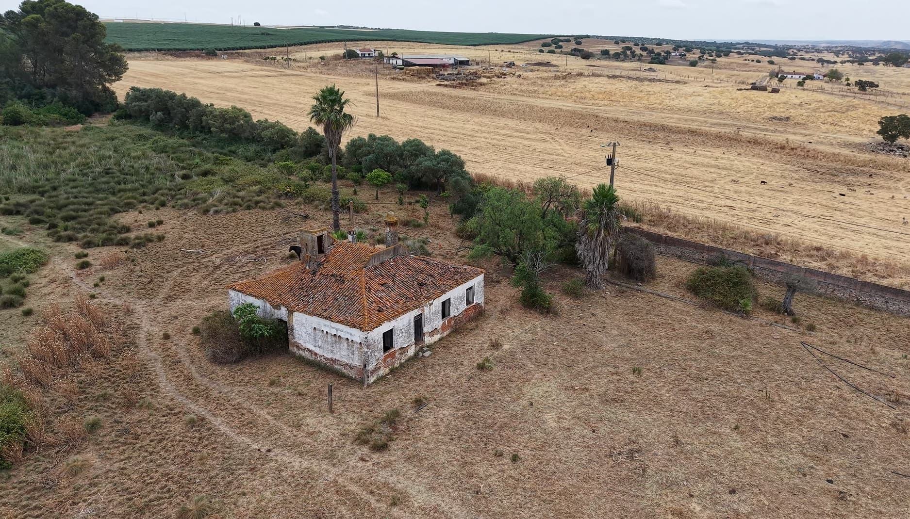 Herdade do Topo · Montes da Janeila e Junqueira · Serpa — imagen 10