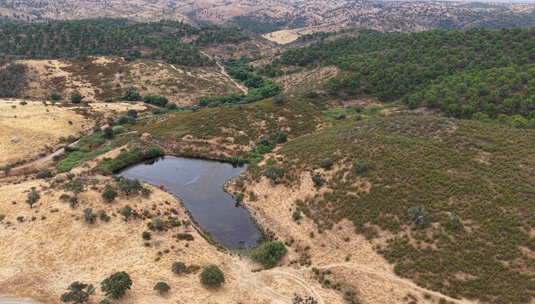 Herdade do Topo · Montes da Janeila e Junqueira · Serpa — imagen 8