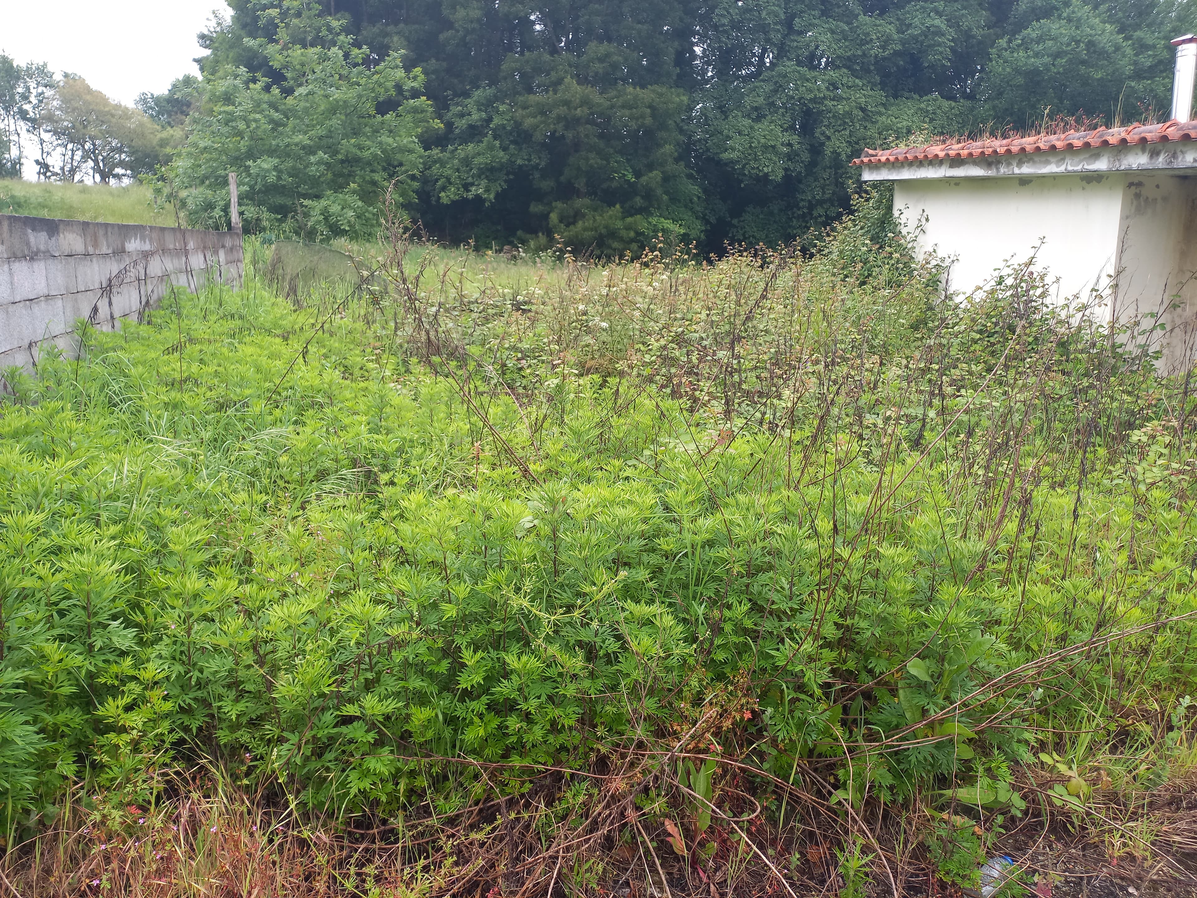 Moradia V3 · Santo Tirso — imagen 15