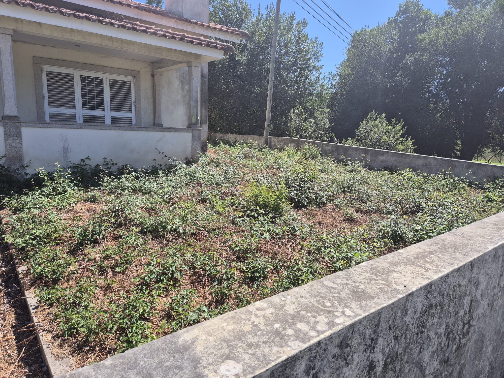 Moradia V3 · Santo Tirso — imagen 5