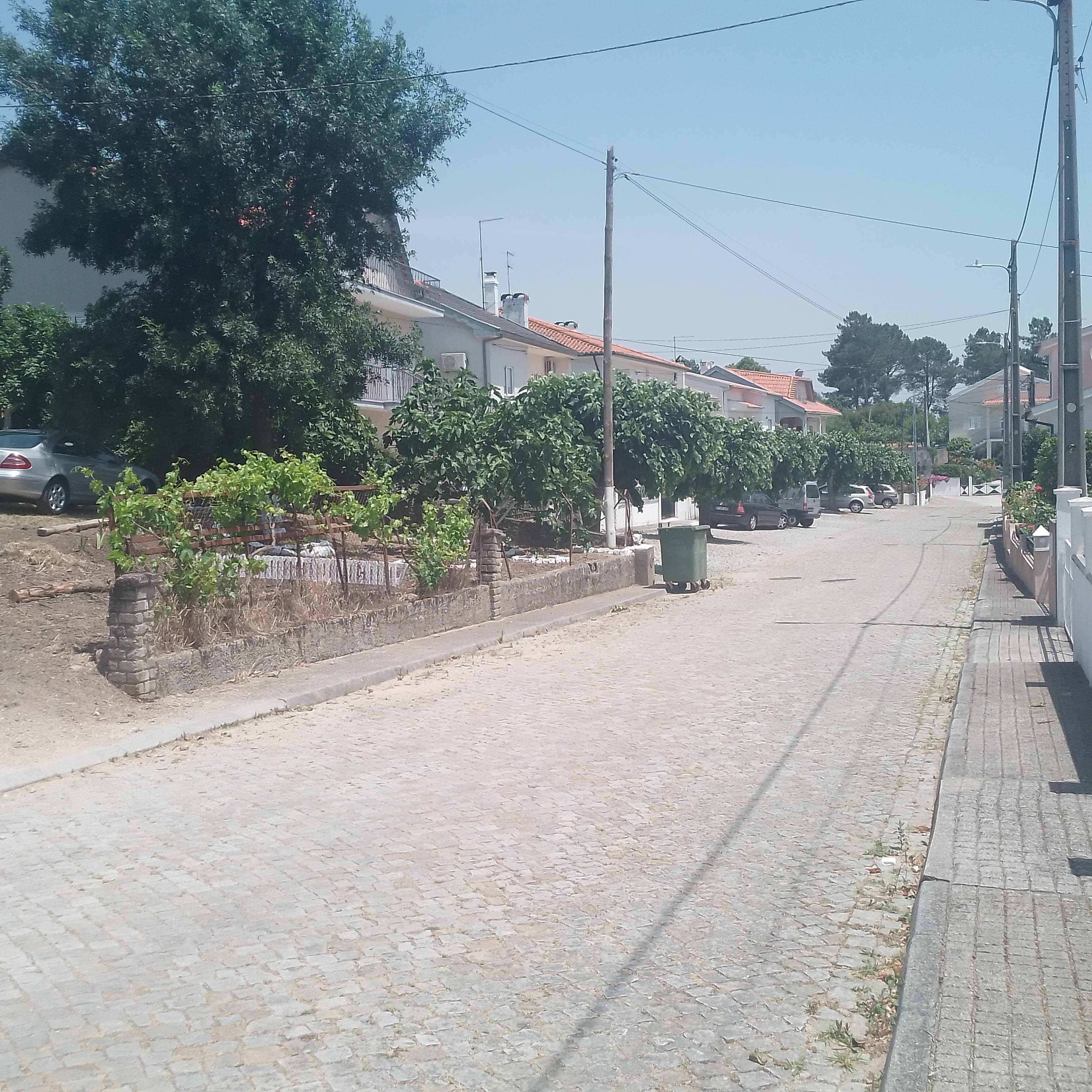 Quinhão Hereditário · Casas do Soeiro, Celorico da Beira — imagen 4
