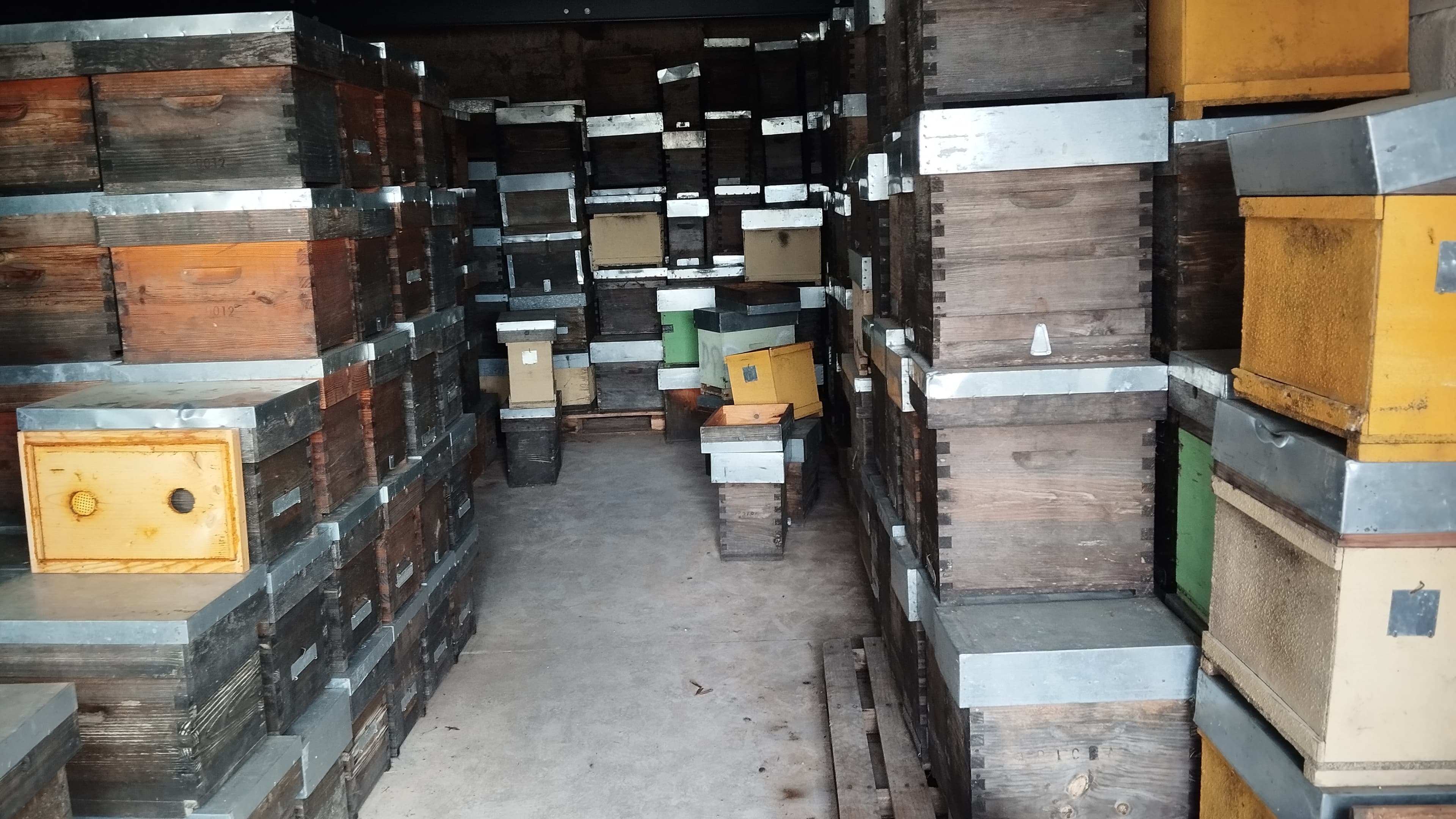 Equipamentos para o Setor de Apicultura — imagem 6