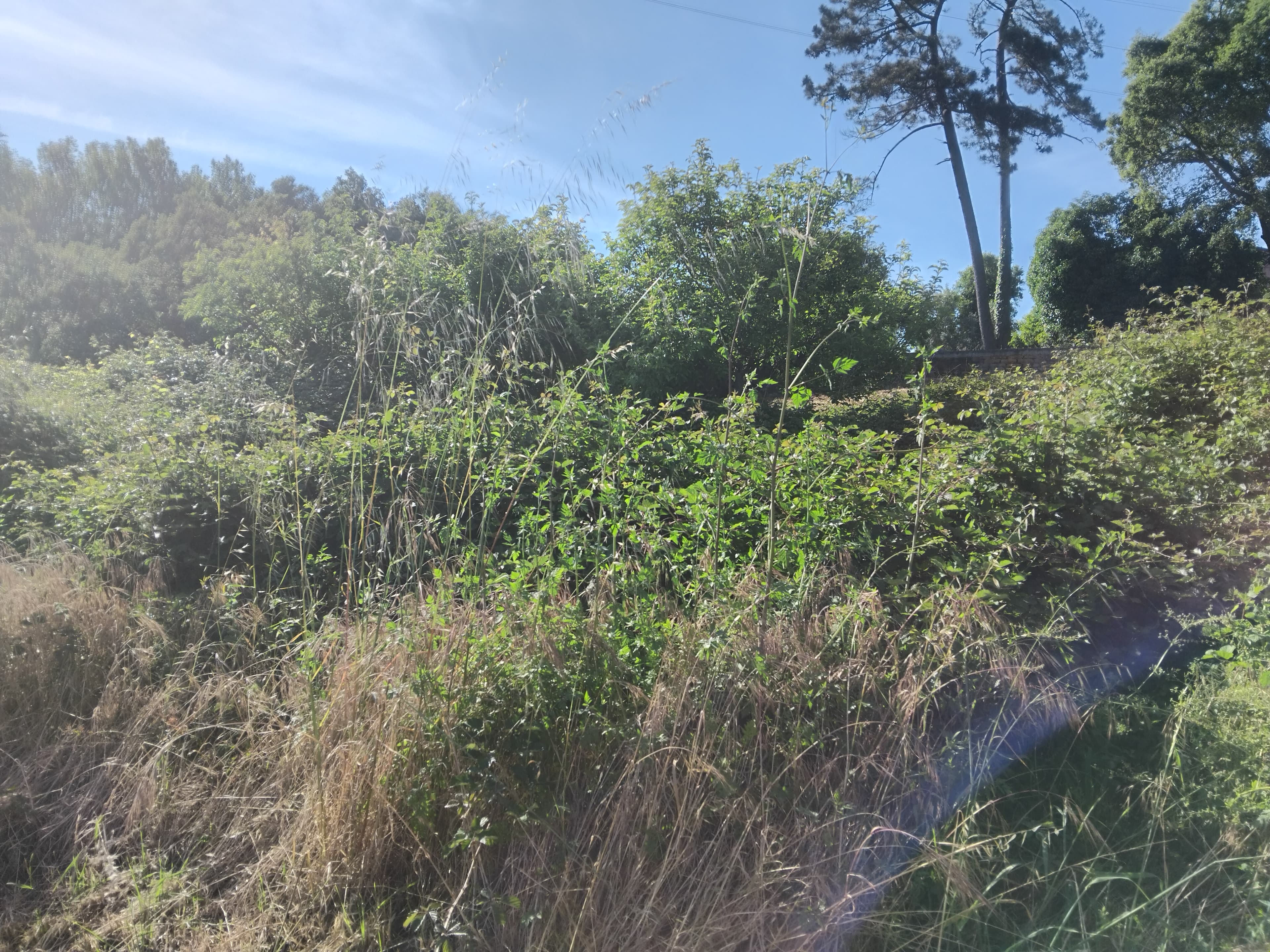 Terrenos · Águeda — image 6