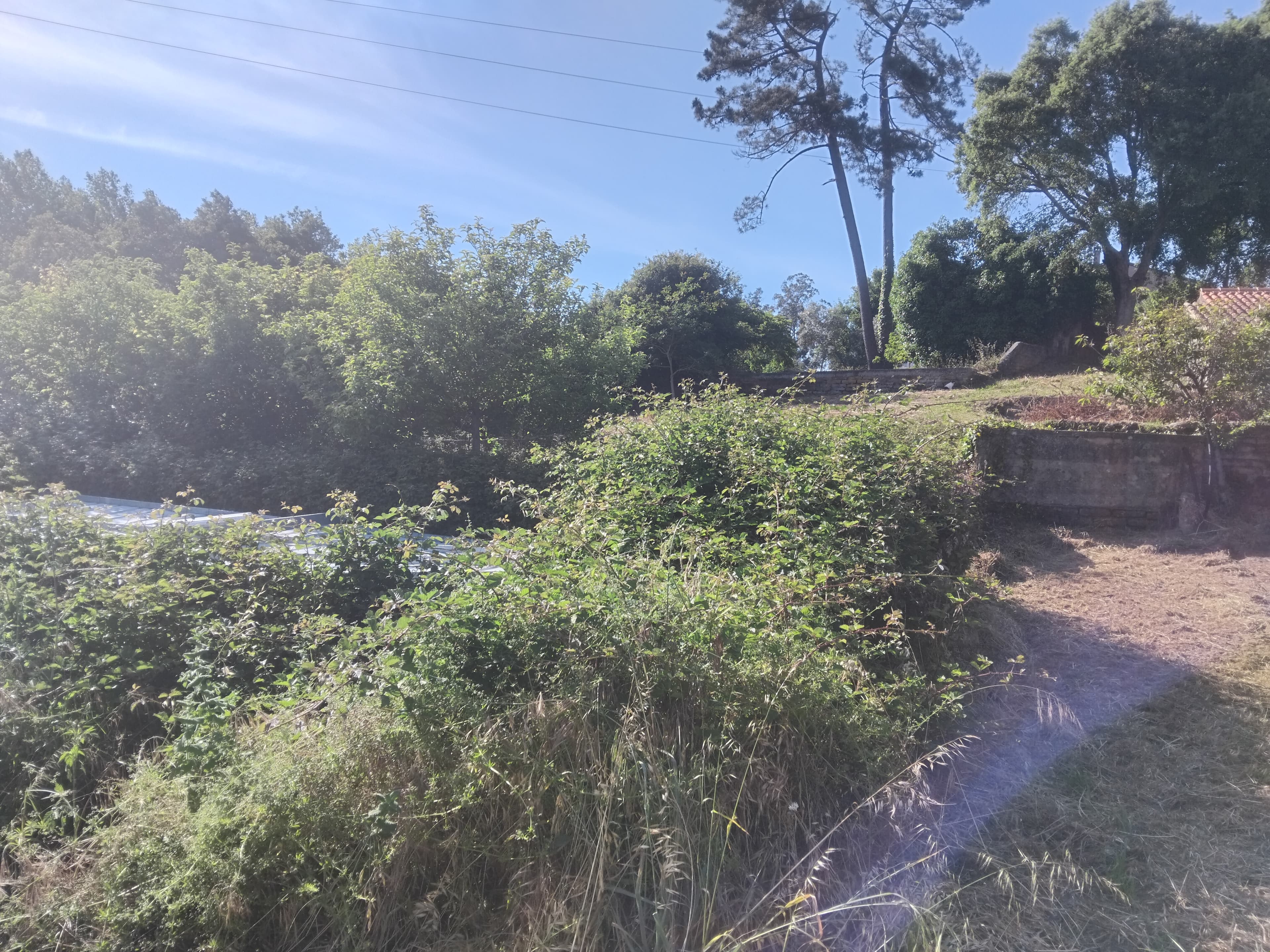 Terrenos · Águeda — image 3