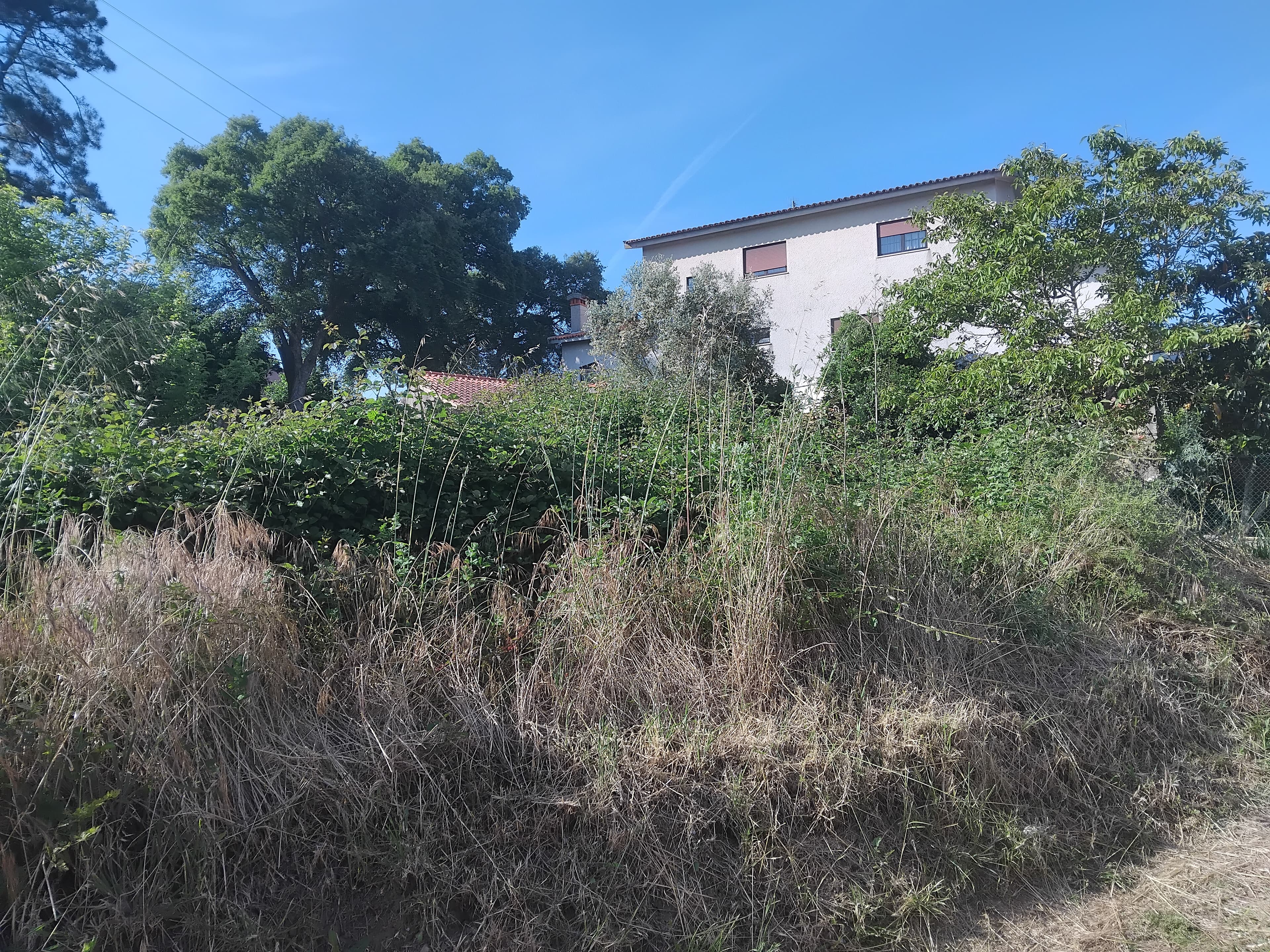 Terrenos · Águeda — image 2
