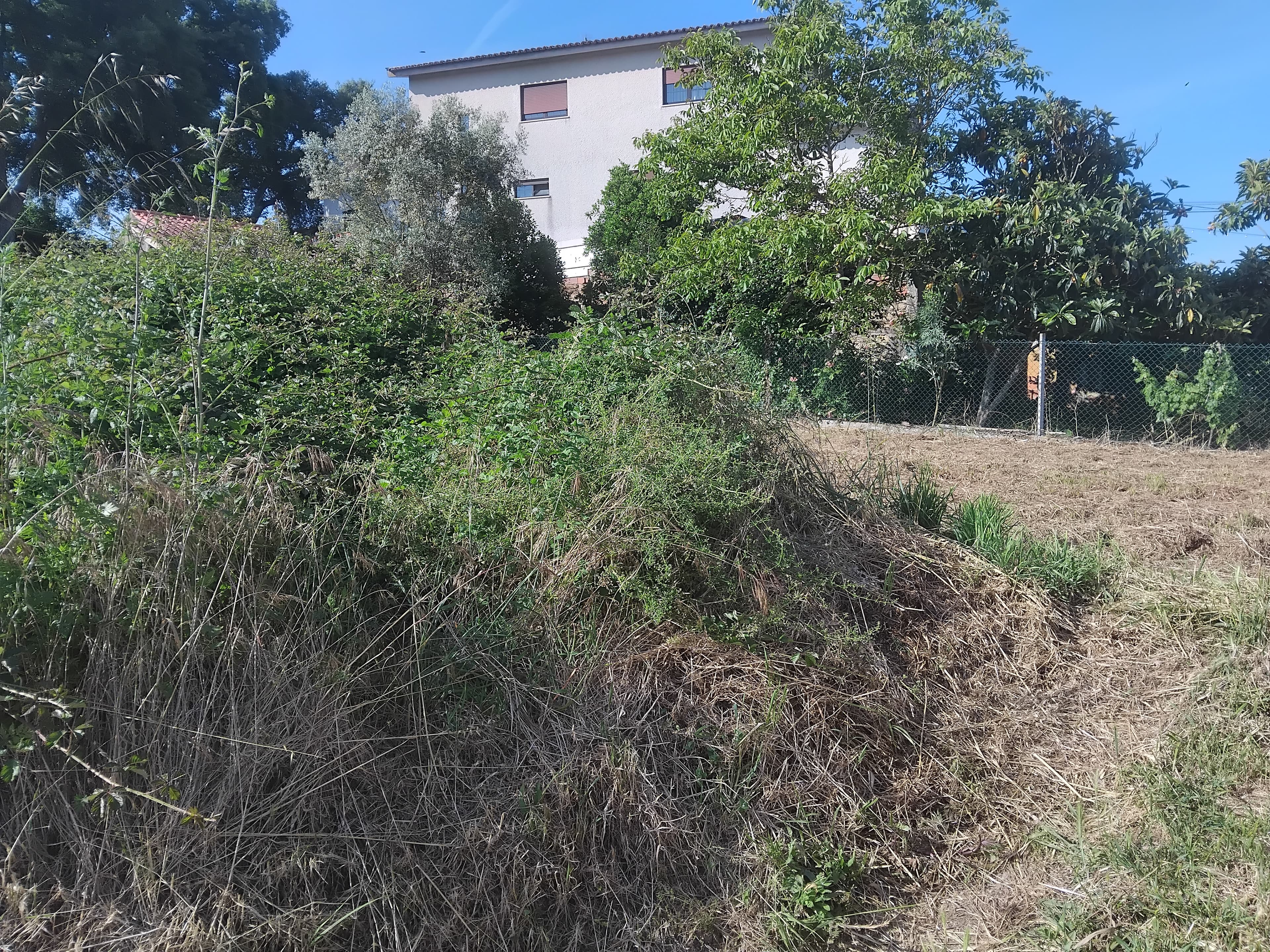 Terrenos · Águeda