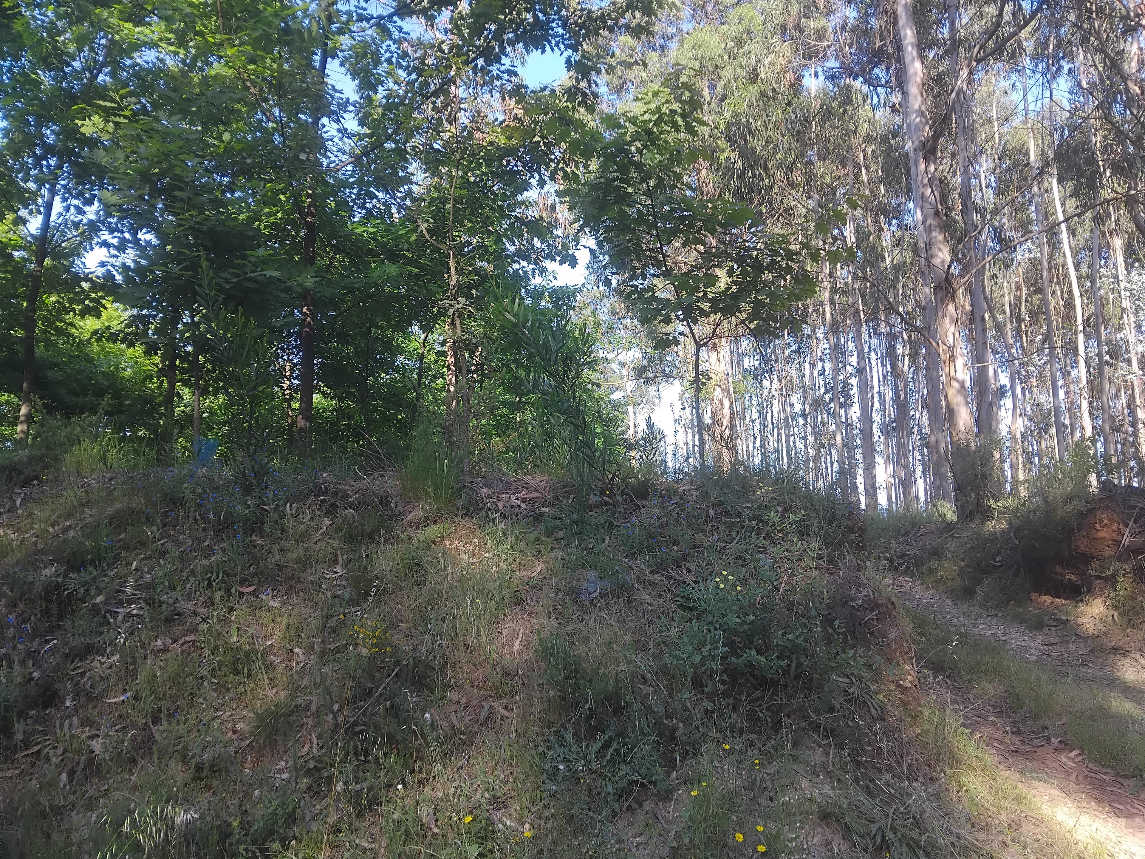 Terreno com 750 m² · Águeda