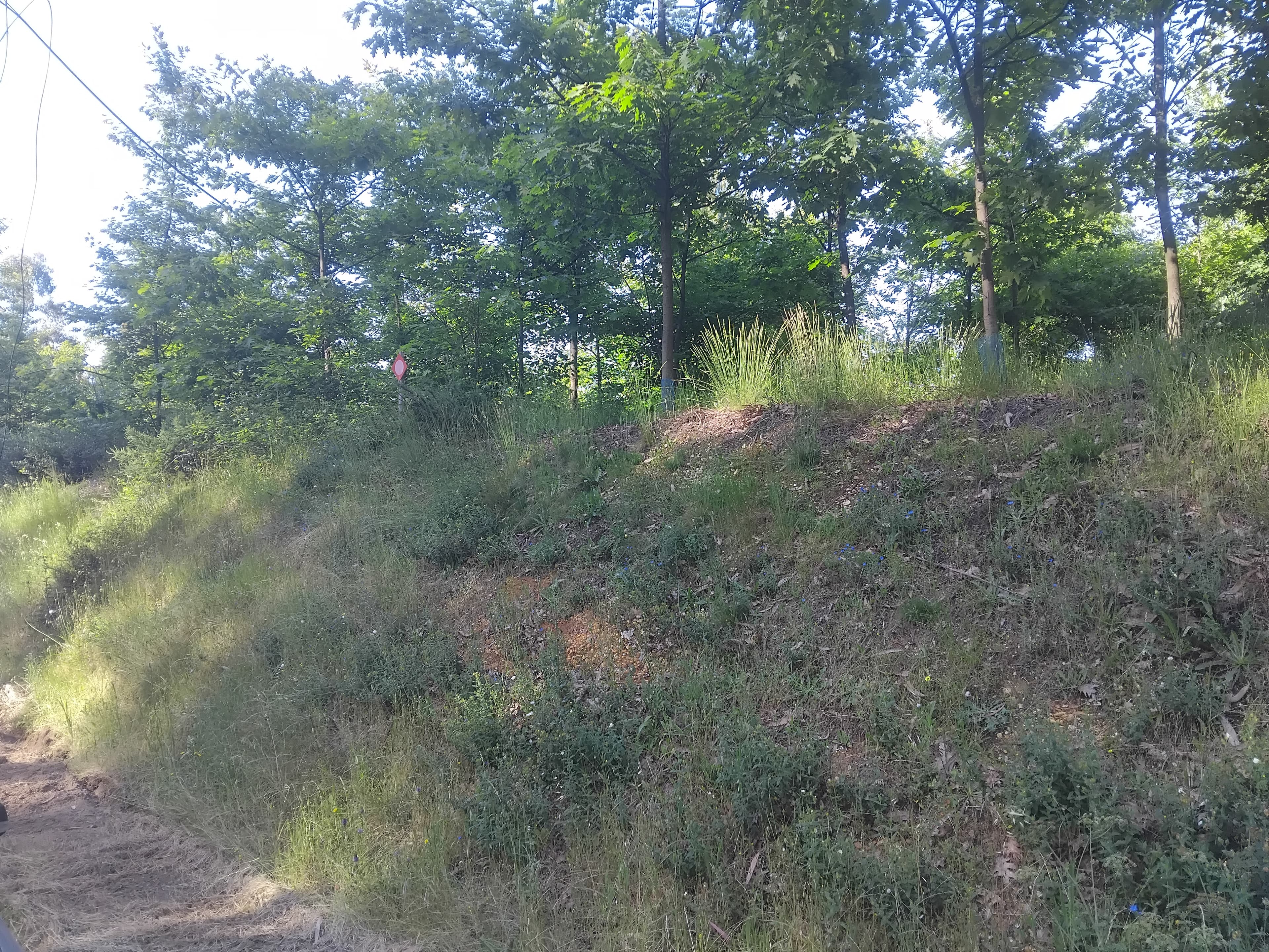 Terreno com 750 m² · Águeda — image 5