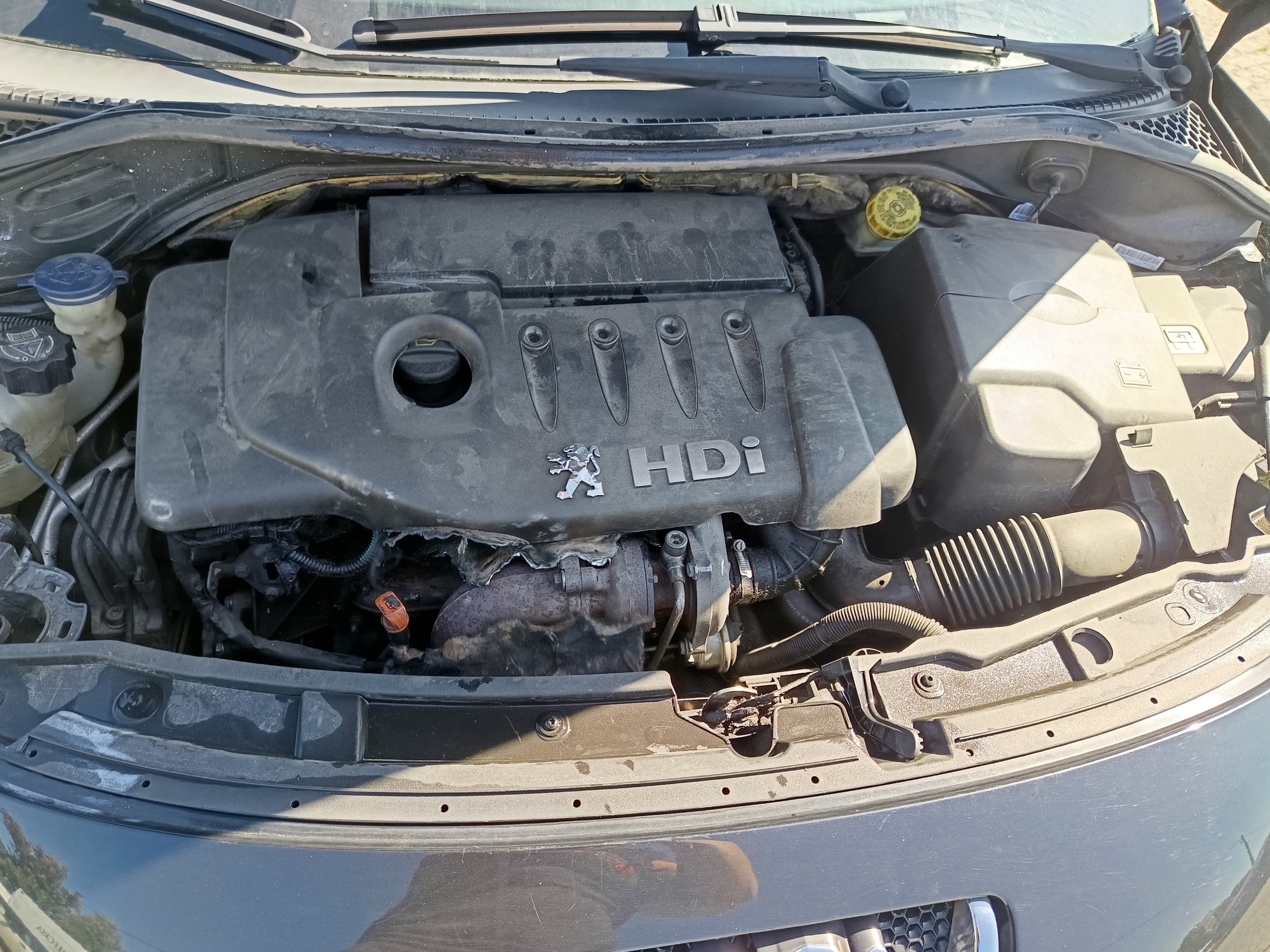 Peugeot 207 · Ano 2007 — imagem 8