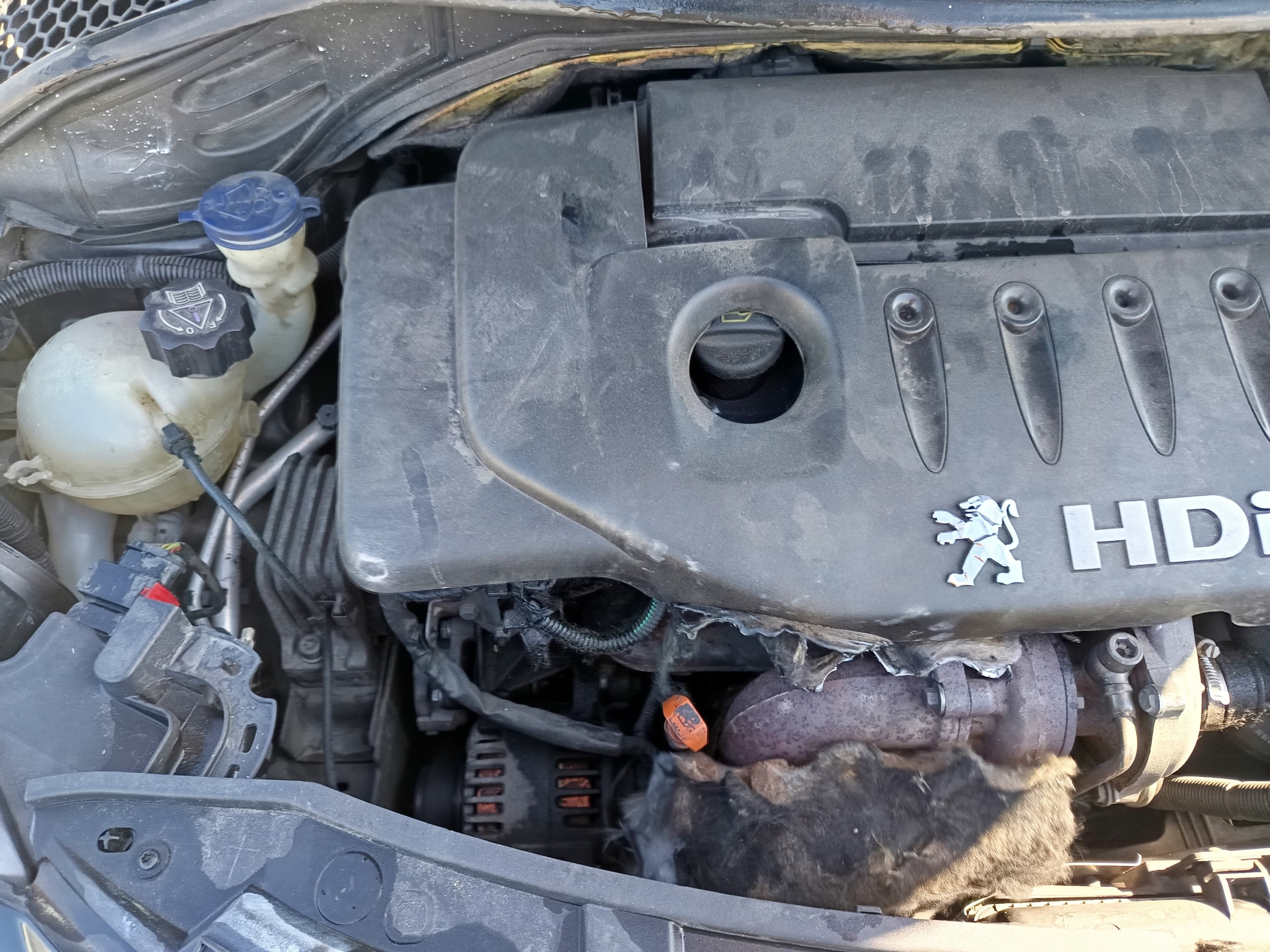 Peugeot 207 · Ano 2007 — imagem 10