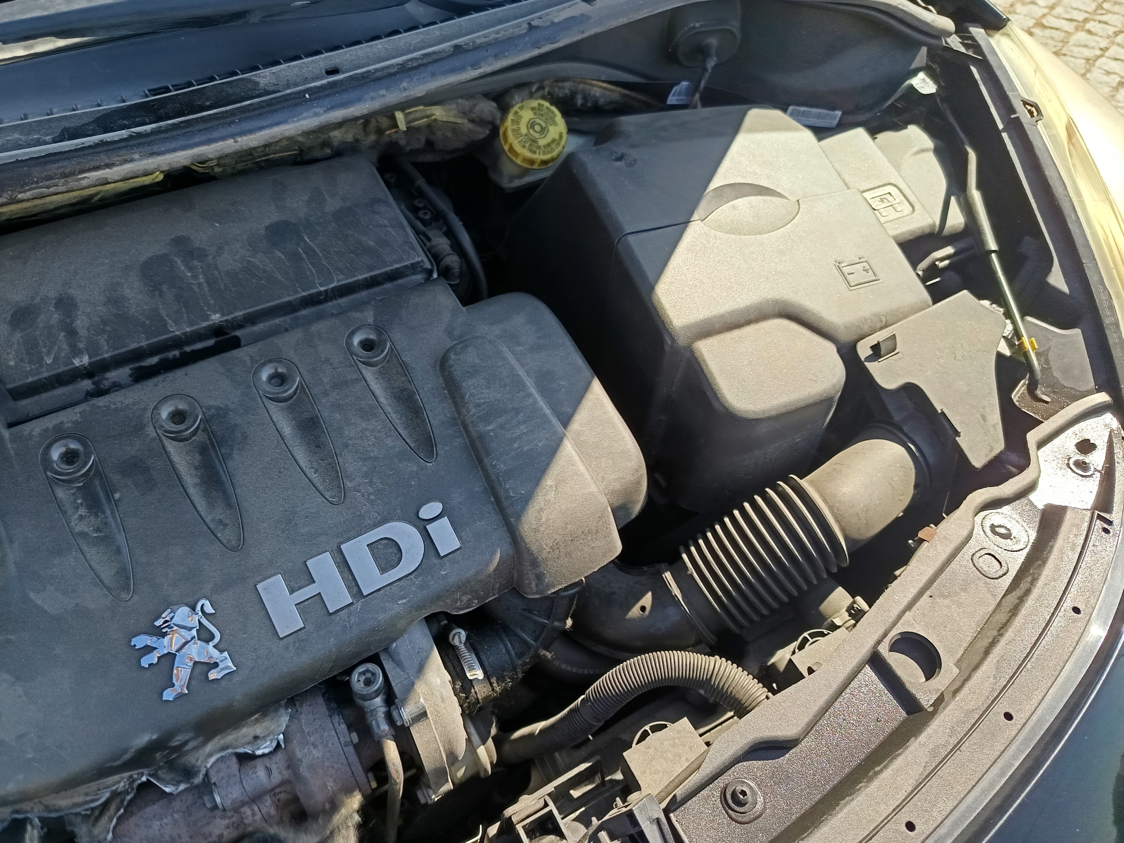 Peugeot 207 · Ano 2007 — imagem 9