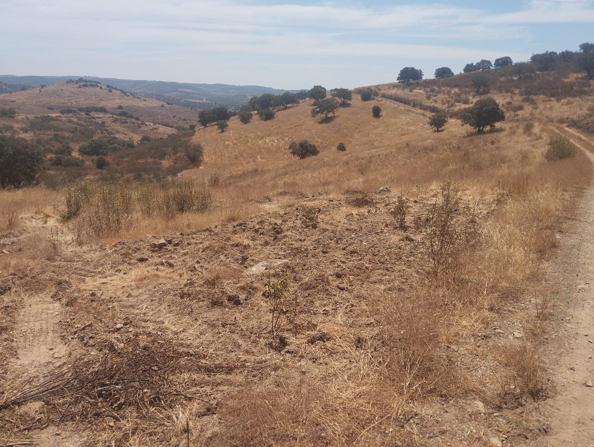 Proporção de 1/12 de Terreno com 13,96 hectares · Mértola — image 2