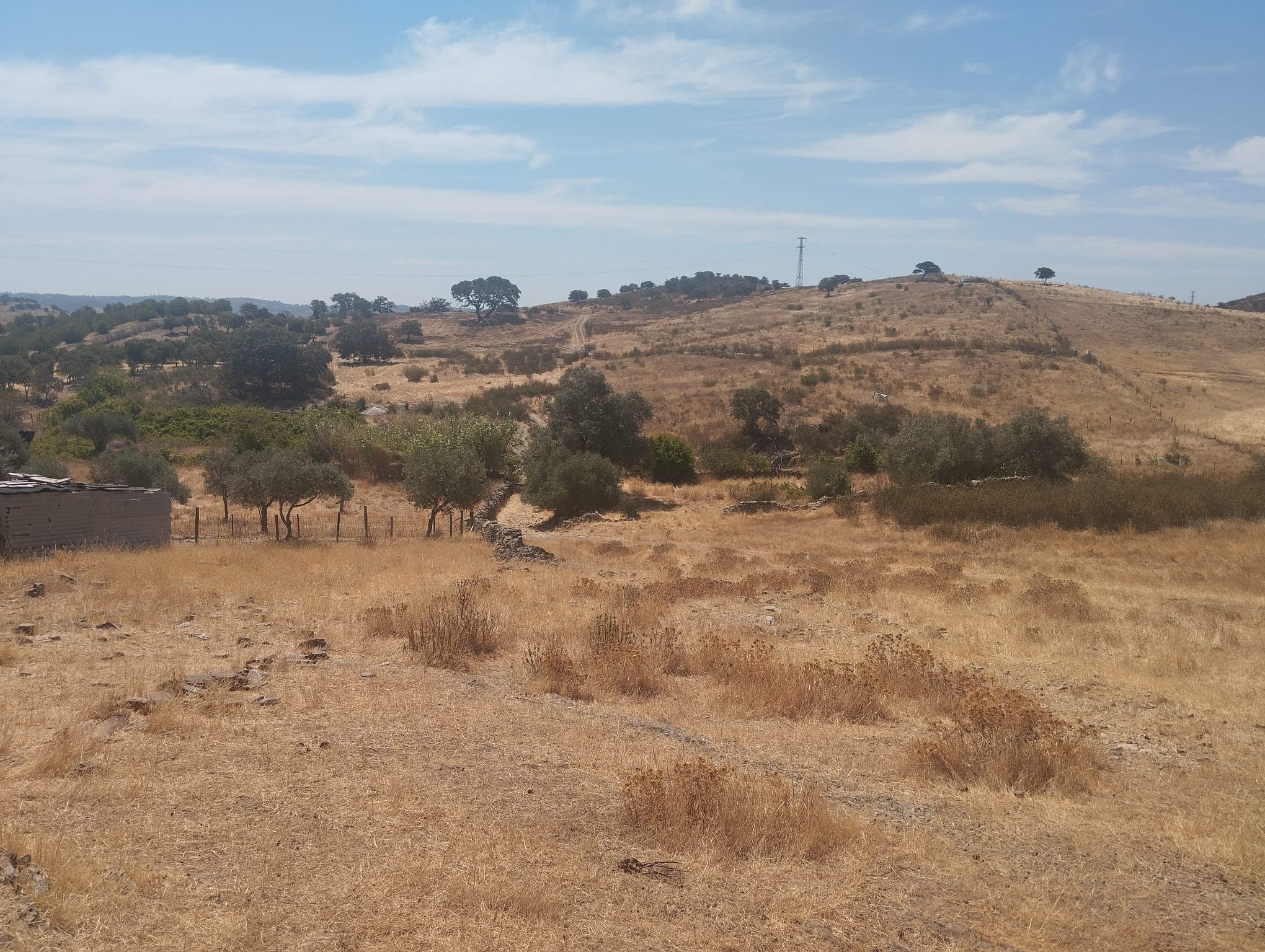 Proporção de 1/12 de Terreno com 13,96 hectares · Mértola — image 8