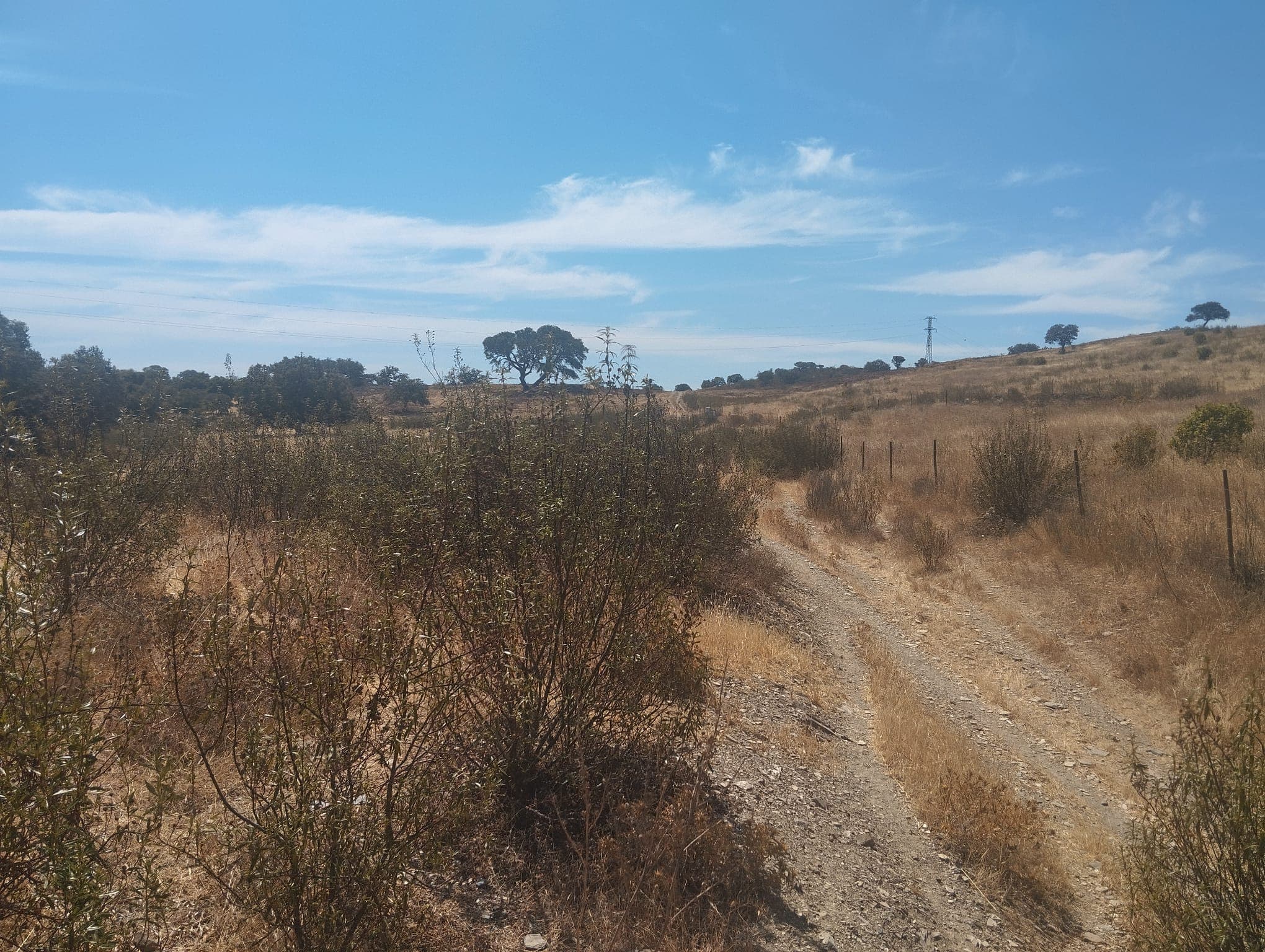 Proporção de 1/12 de Terreno com 13,96 hectares · Mértola — image 6