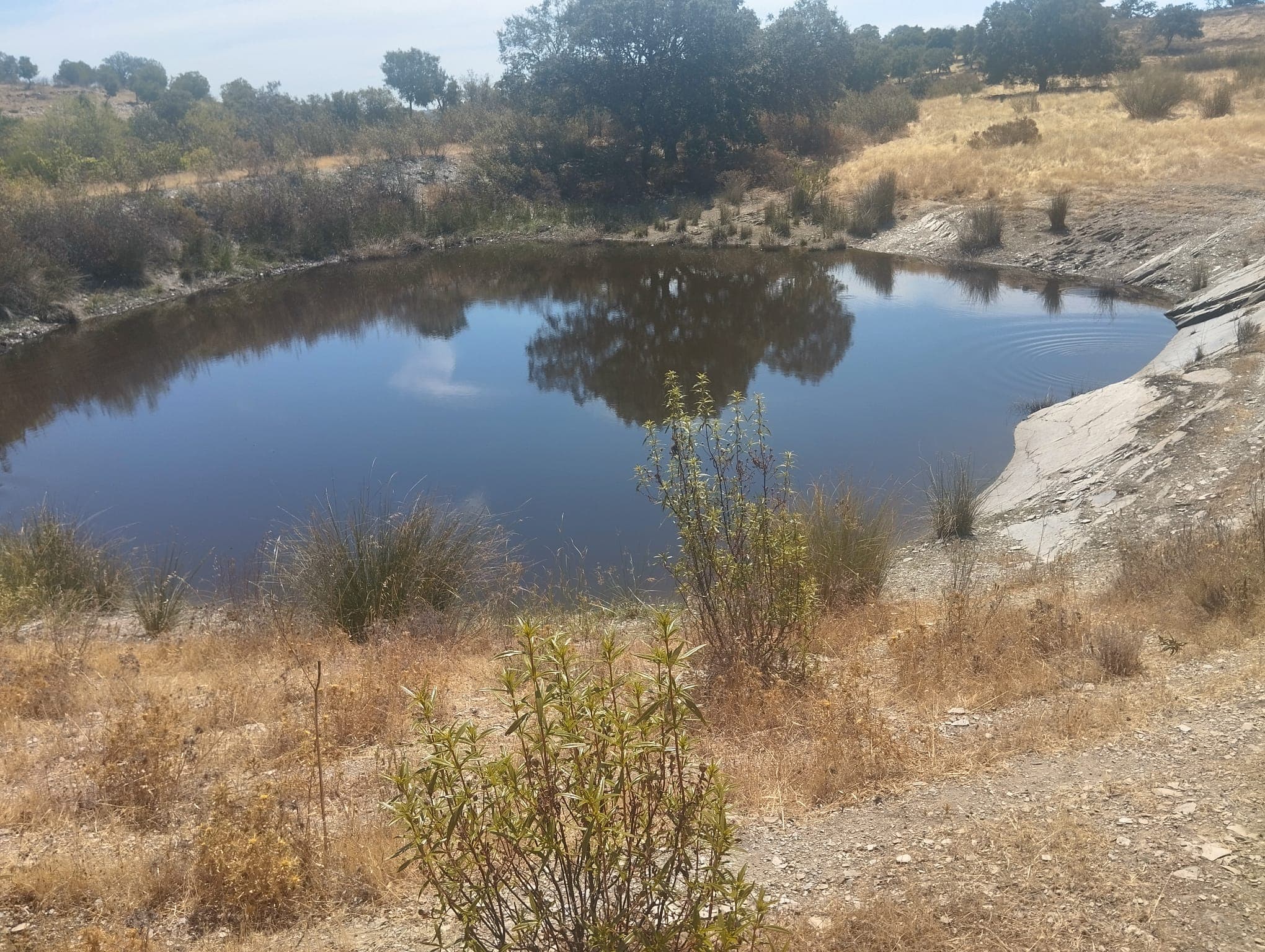 Proporção de 1/12 de Terreno com 13,96 hectares · Mértola — image 11