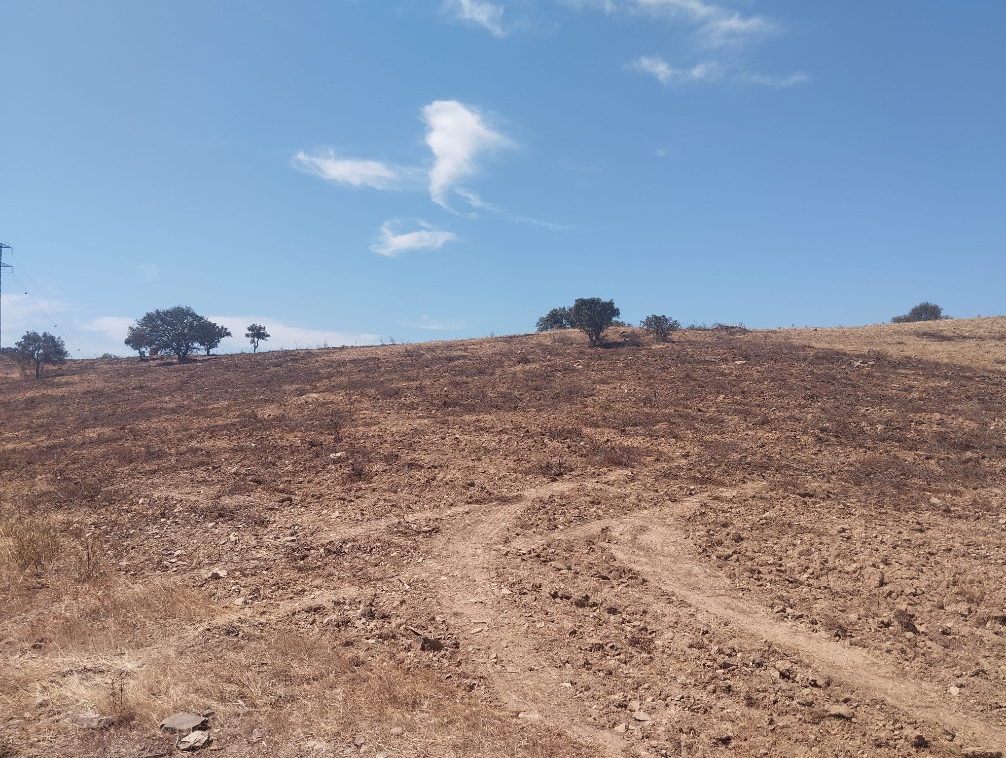 Proporção de 1/12 de Terreno com 13,96 hectares · Mértola — image 4
