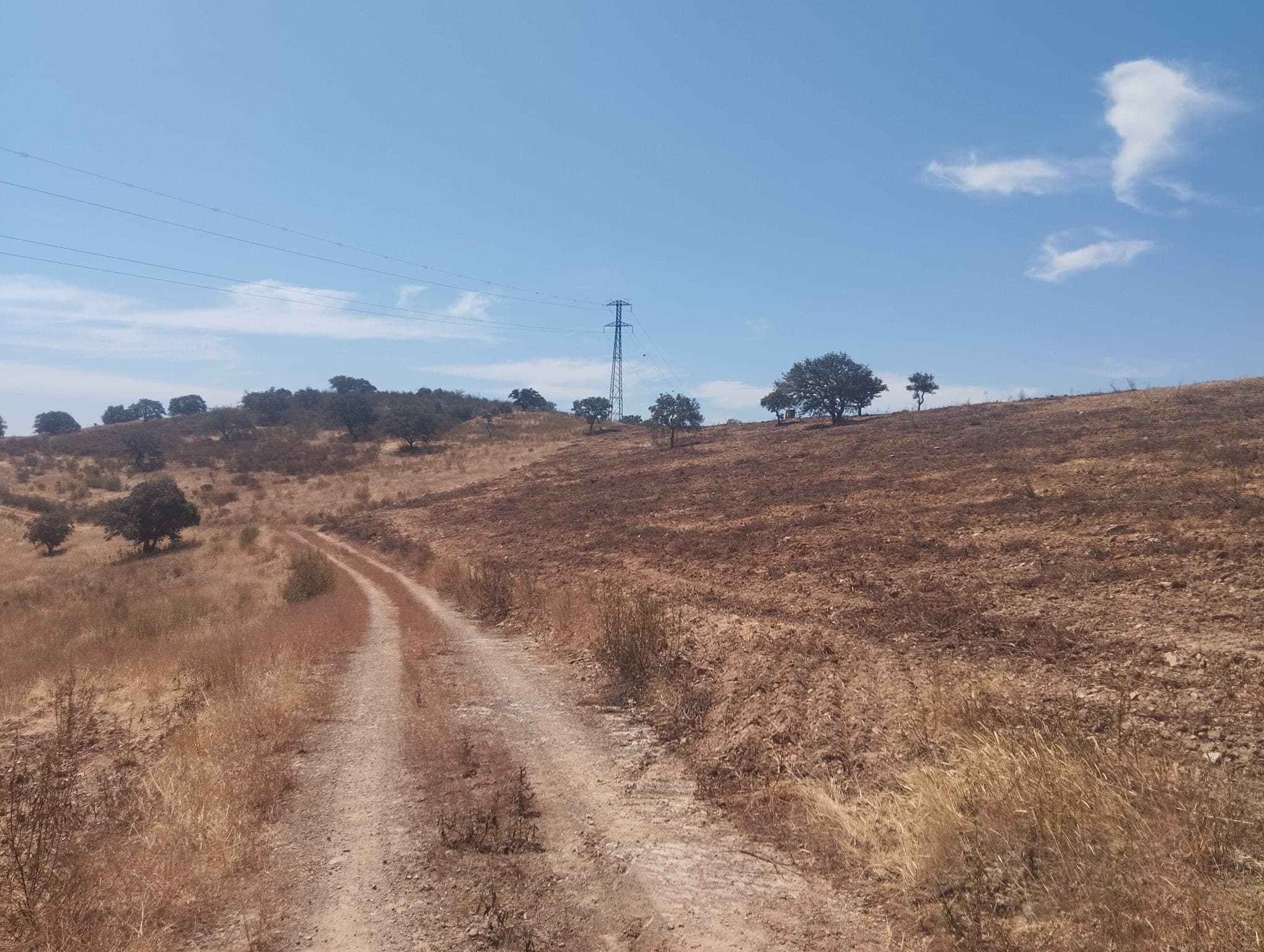 Proporção de 1/12 de Terreno com 13,96 hectares · Mértola — image 3