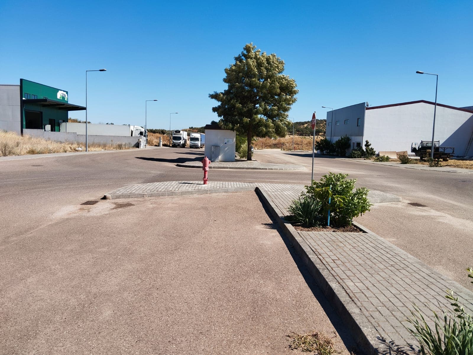 Terreno com Benfeitoria · Redondo, Évora — imagem 6
