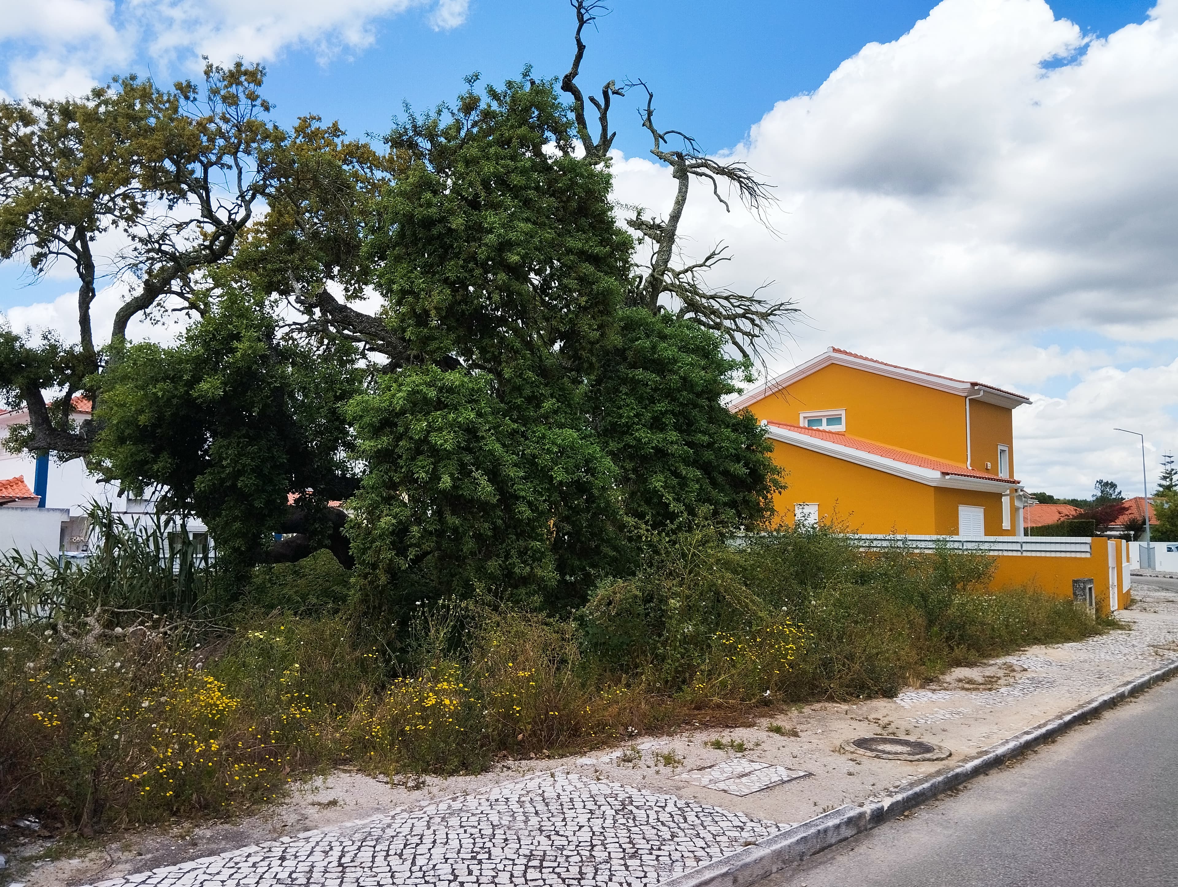 Terreno para Construção · Setúbal — image 3