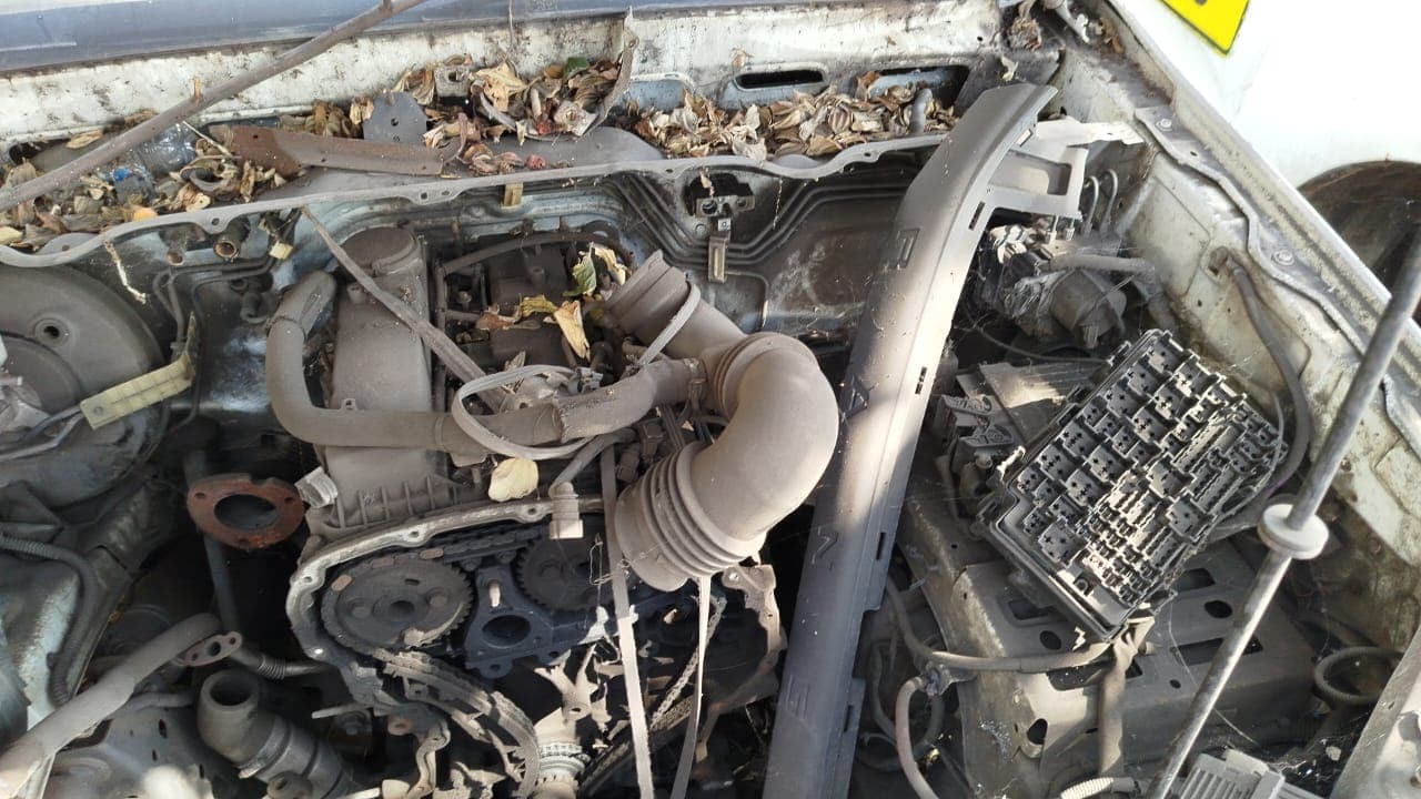 Ford Ranger — image 14