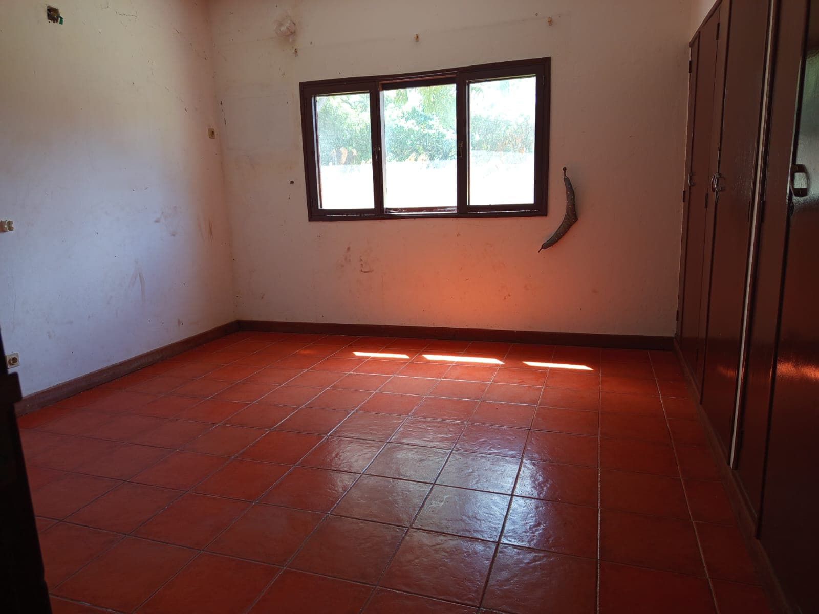 Moradia T4 em Bilene — imagem 28