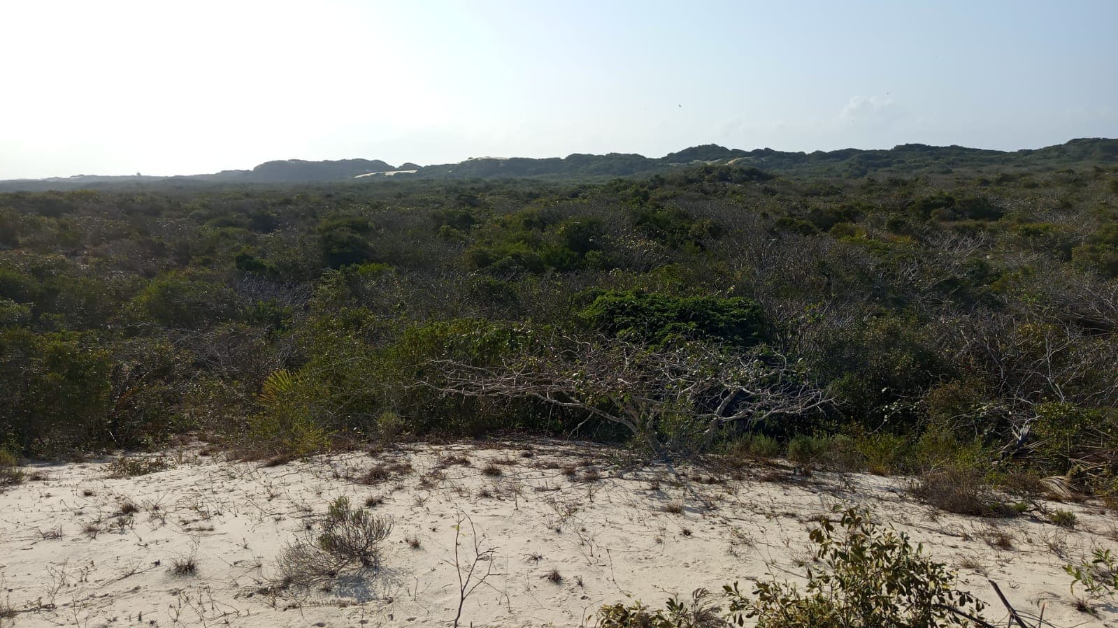 Infraestruturas em terreno com 5 hectares — imagem 13