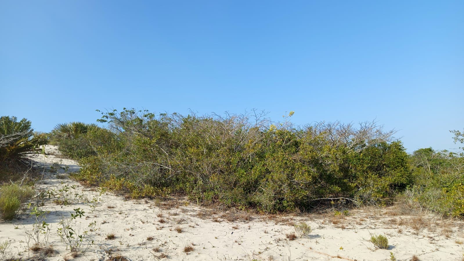 Infraestruturas em terreno com 5 hectares — imagem 4