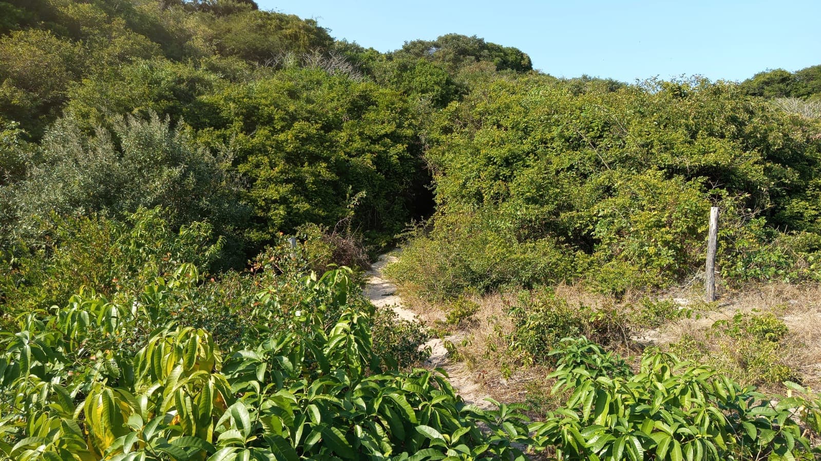 Infraestruturas em terreno com 5 hectares — imagem 9