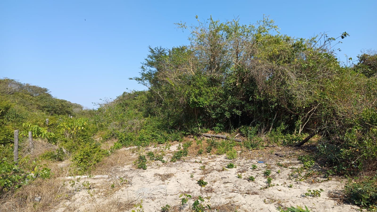 Infraestruturas em terreno com 5 hectares — imagem 11