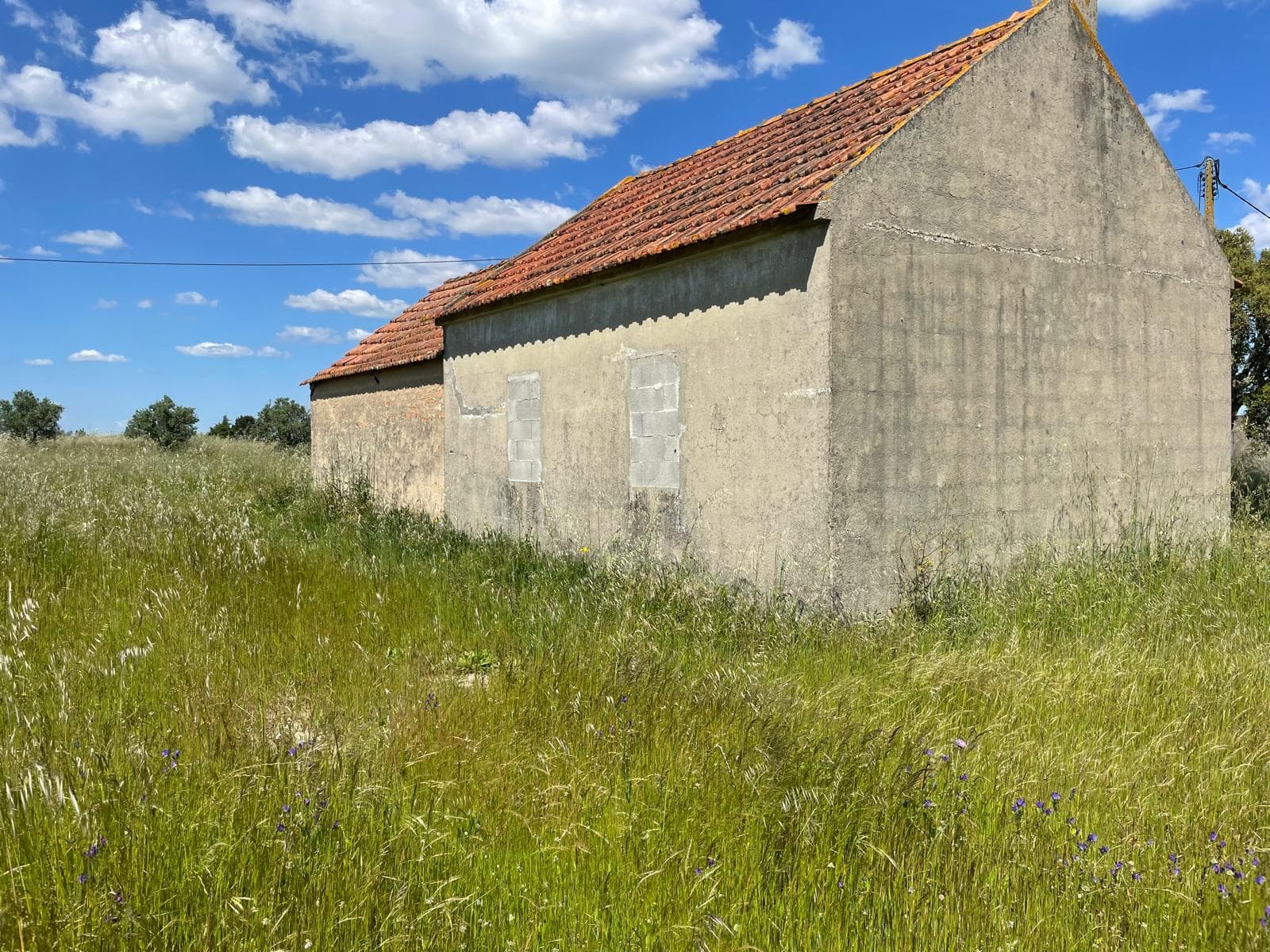 Quinta com 5,9 hectares · Palmela — imagem 6
