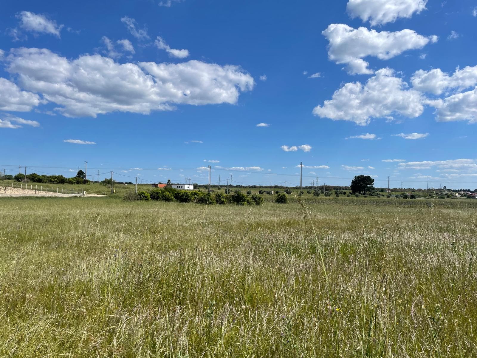 Quinta com 5,9 hectares · Palmela — imagem 10