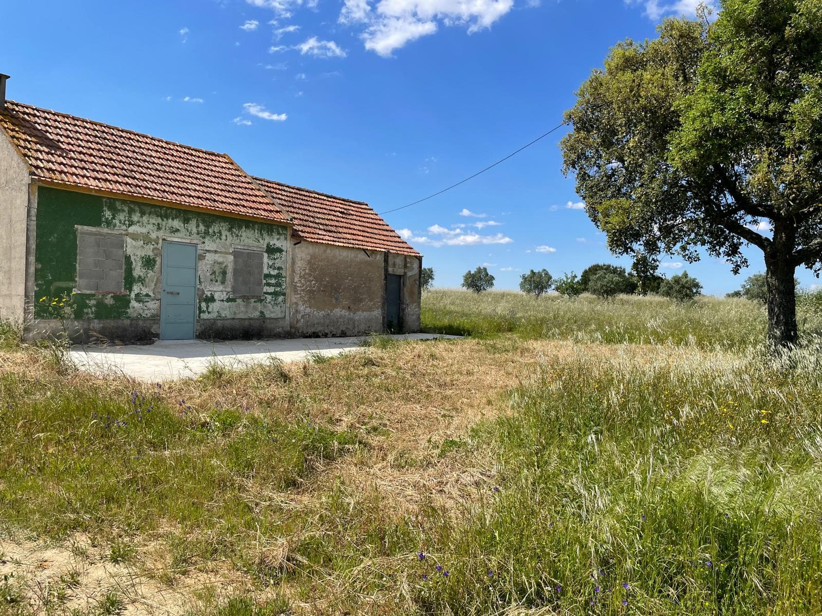 Quinta com 5,9 hectares · Palmela — imagem 3